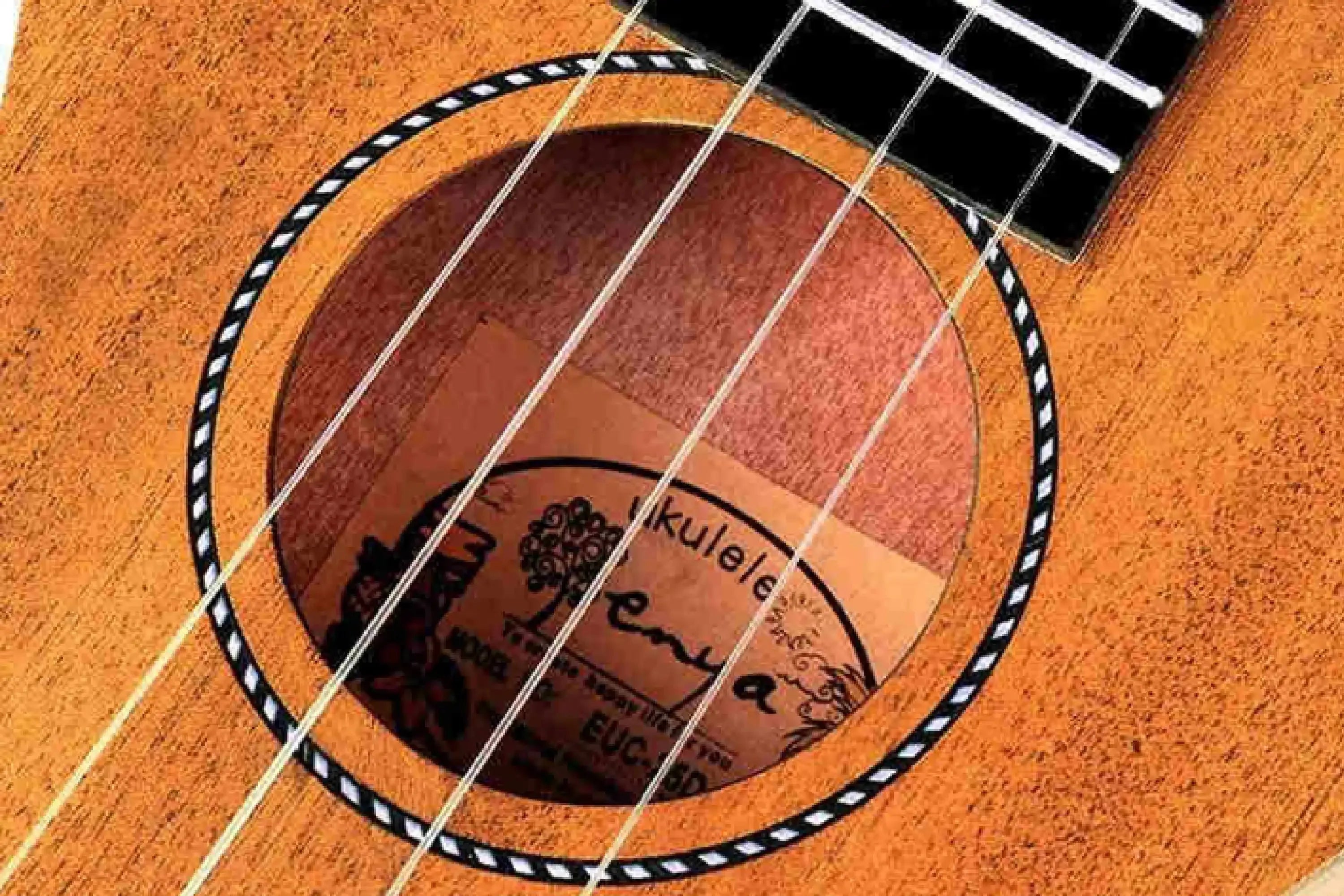 EnyaEUC-25DSolidMahoganyConcertUkulele-05 | Terry Carter Music Store