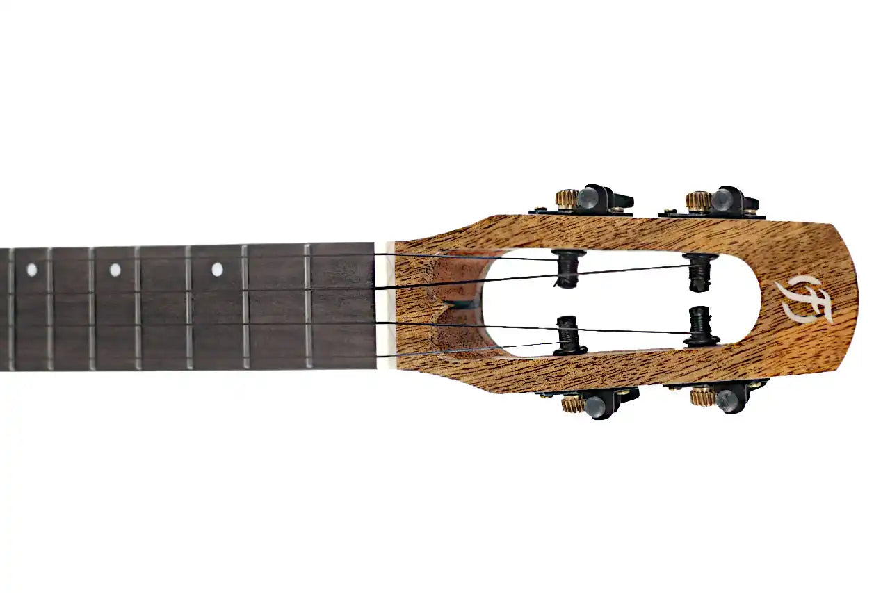 FIREBALL_TENOR_1_2_6a195020-144d-472b-8f51-e7c0e6a65f3a | Terry Carter Music Store