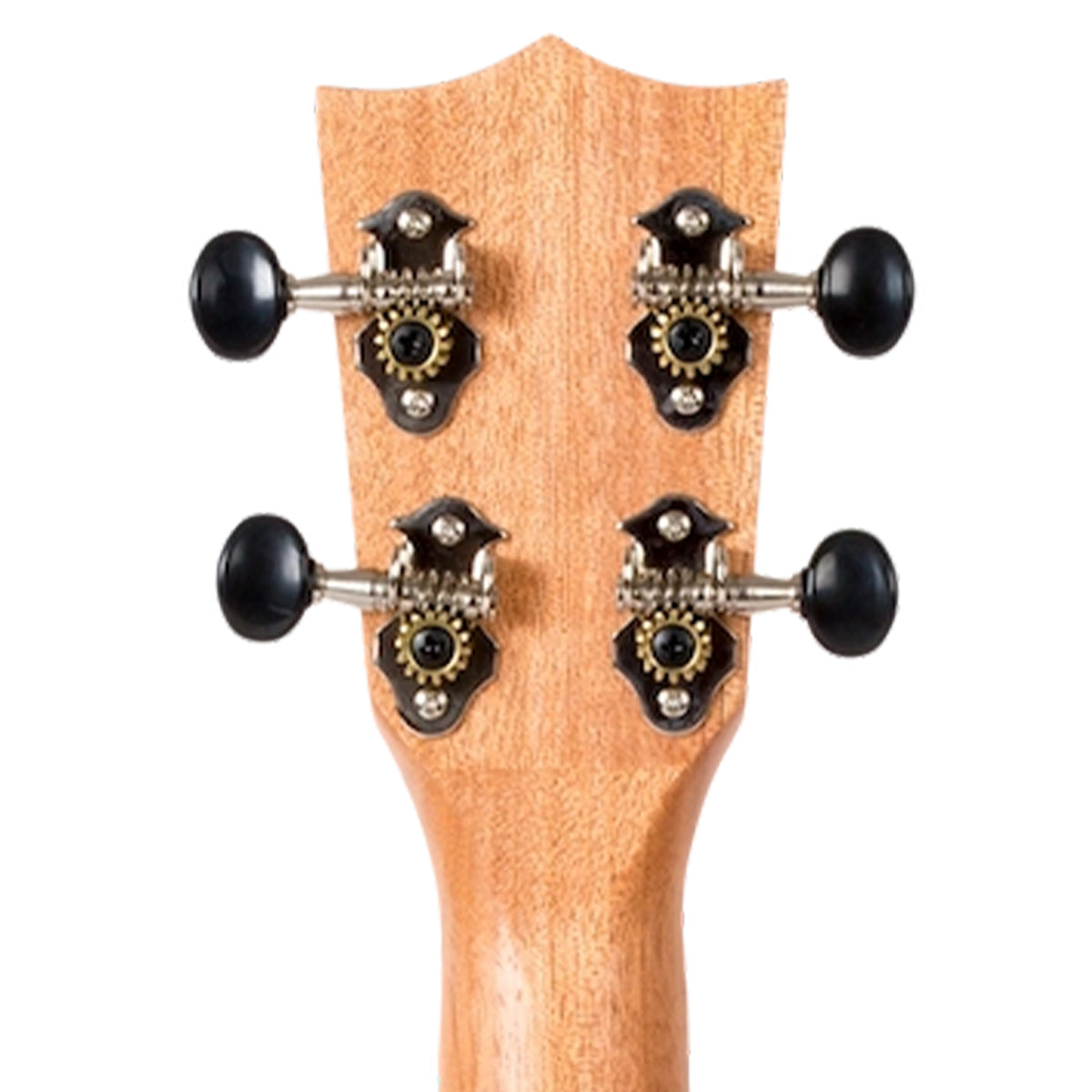 Close-up of the headstock of a wooden stringed instrument, showing four tuning pegs with black round knobs and decorative black-and-gold tuners on a plain white background.