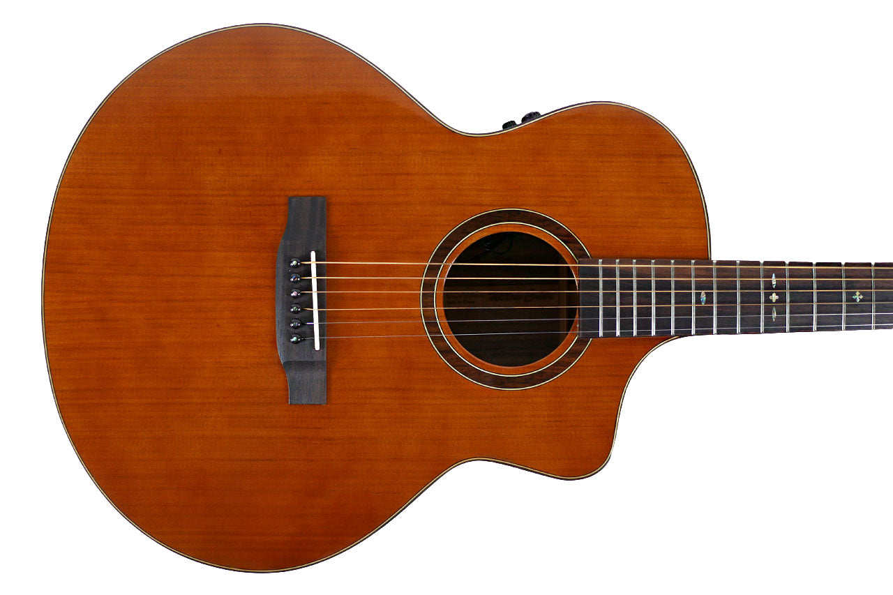 Willow Creek FX-PG73 Ebony Deluxe Guitar