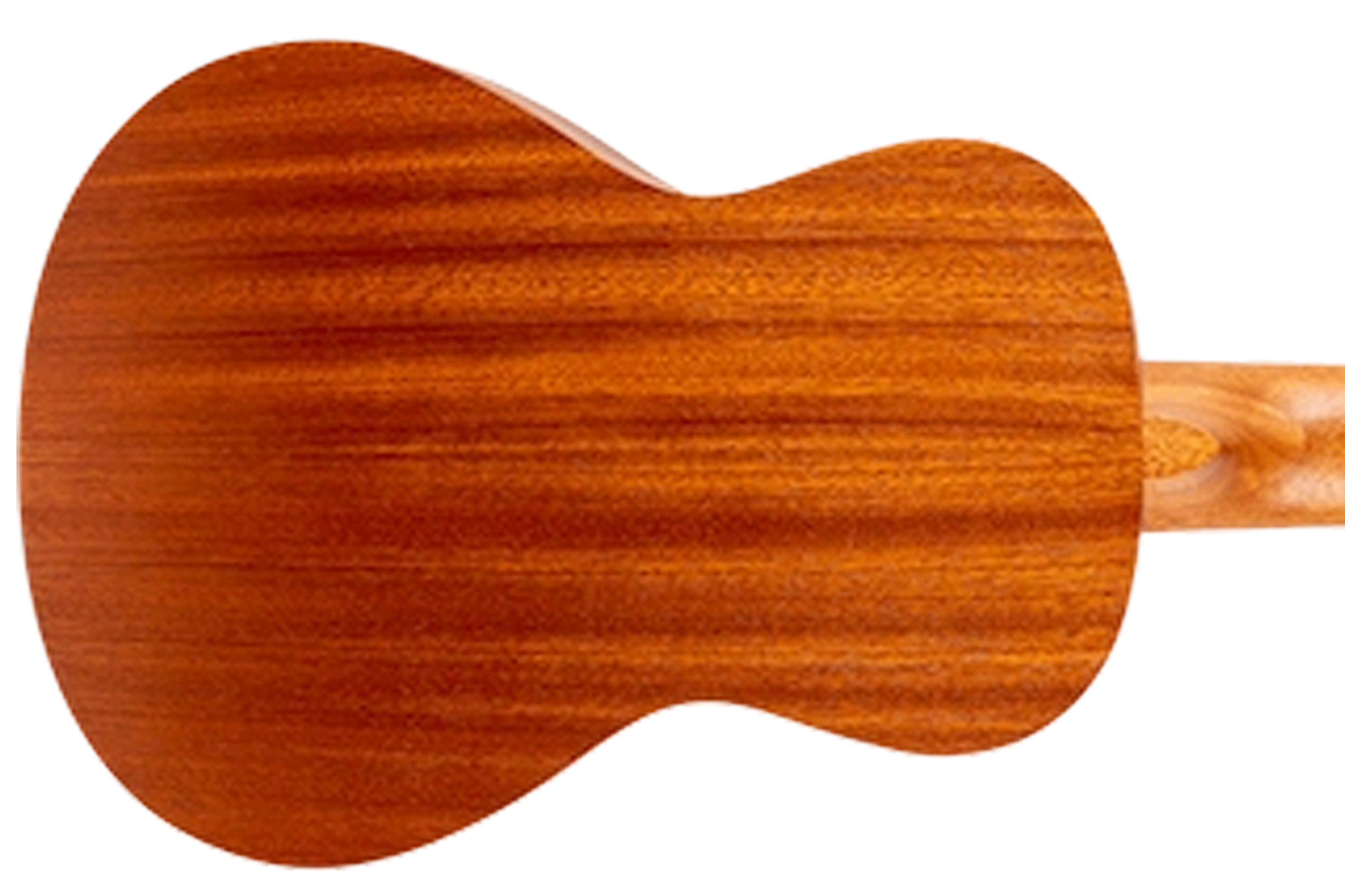 Flight AUC-33 Mansion Concert Ukulele