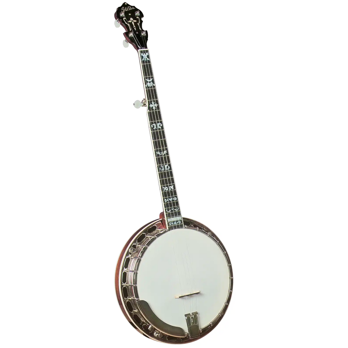 GF-100FE_a_bg | Terry Carter Music Store