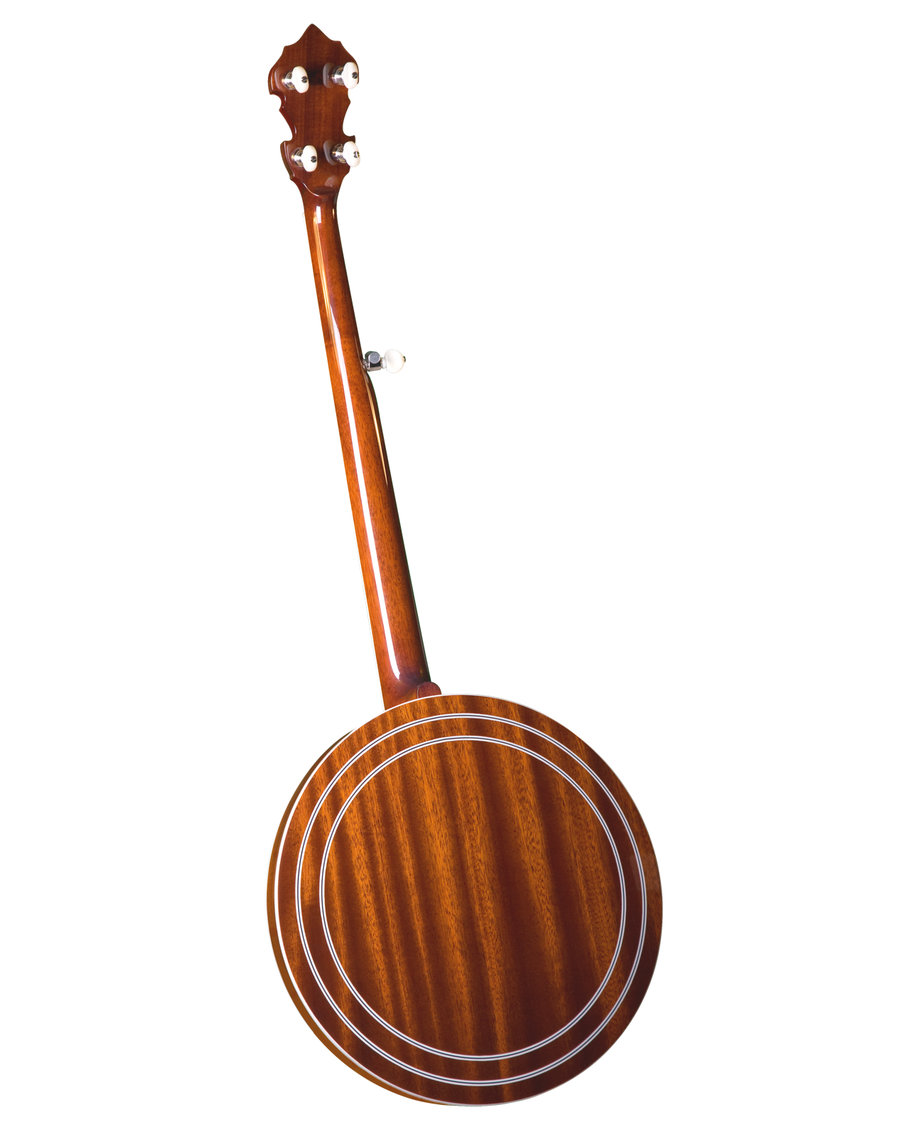 Gold Star GF-100FE Banjo