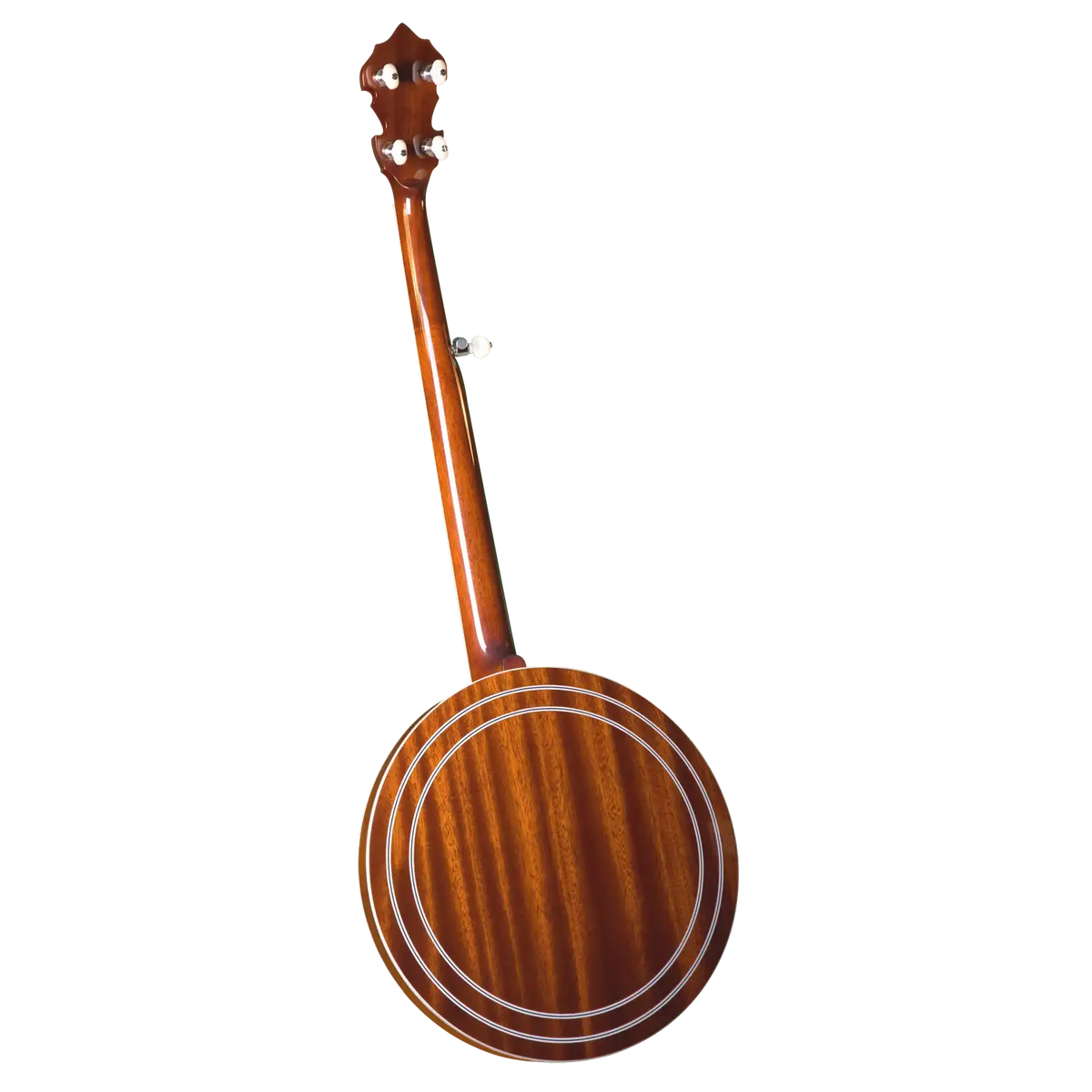 GF-100FE_b_bg | Terry Carter Music Store