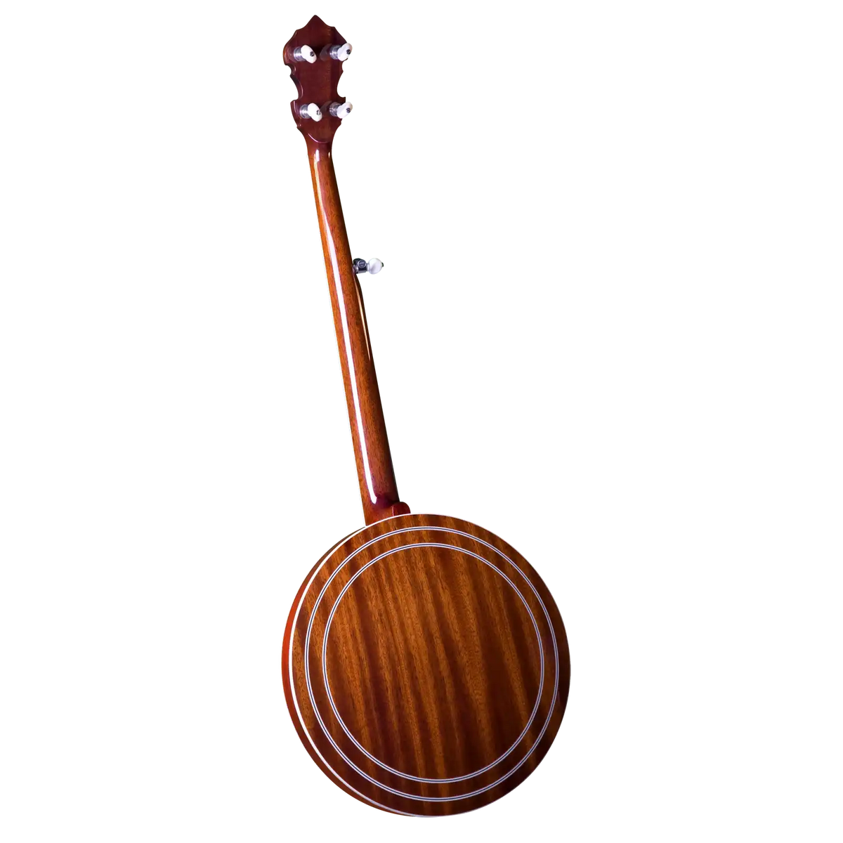 GF-100HF_b_bg | Terry Carter Music Store