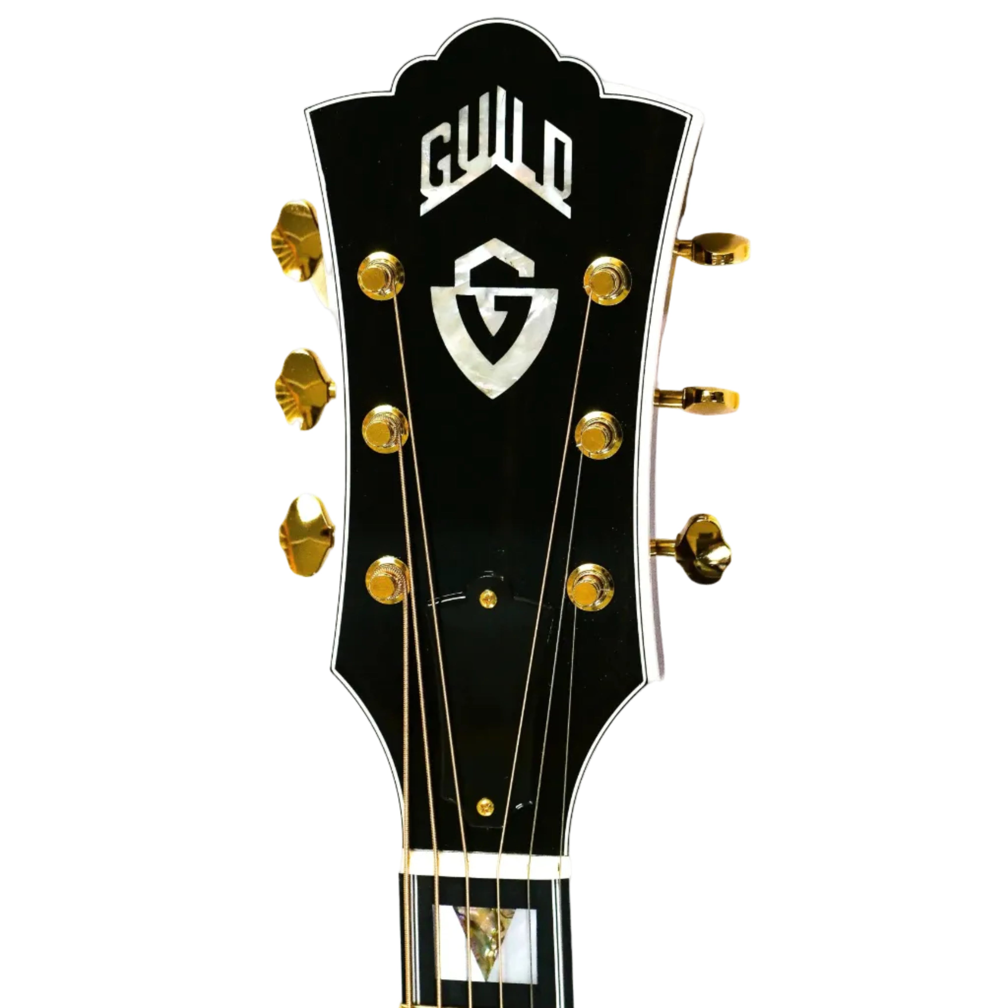 GuildD-5570thAnniversaryAcousticGuitarHEADSTOCK | Terry Carter Music Store