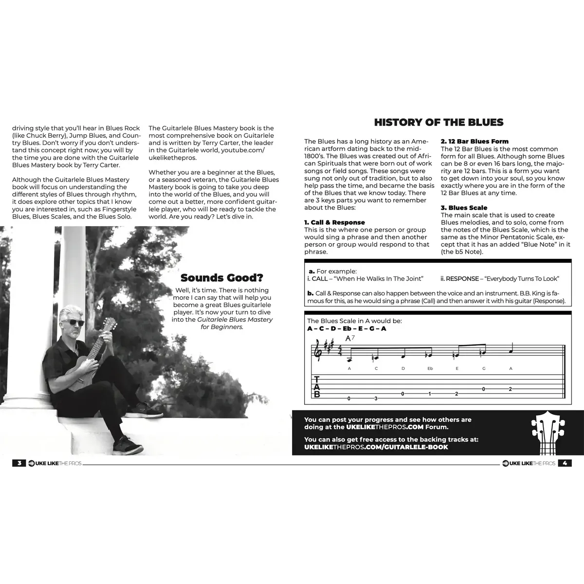 GuitarleleBluesMasteryBook-historyofblues | Terry Carter Music Store