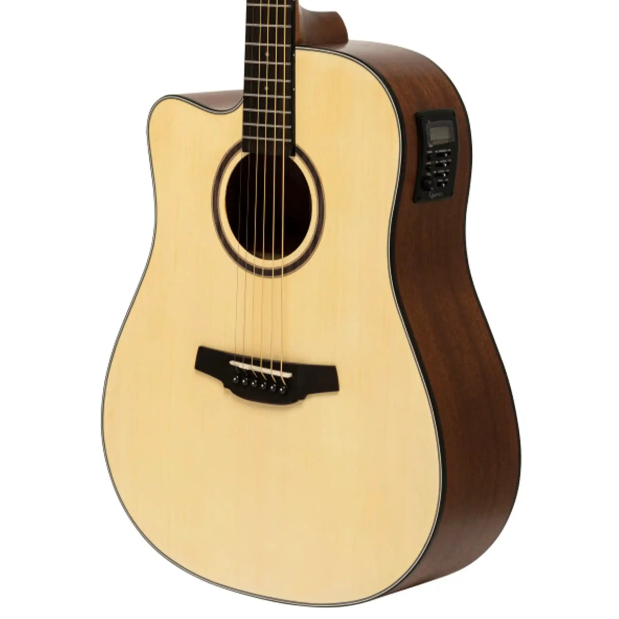 HD100-CE-N-LH1 | Terry Carter Music Store
