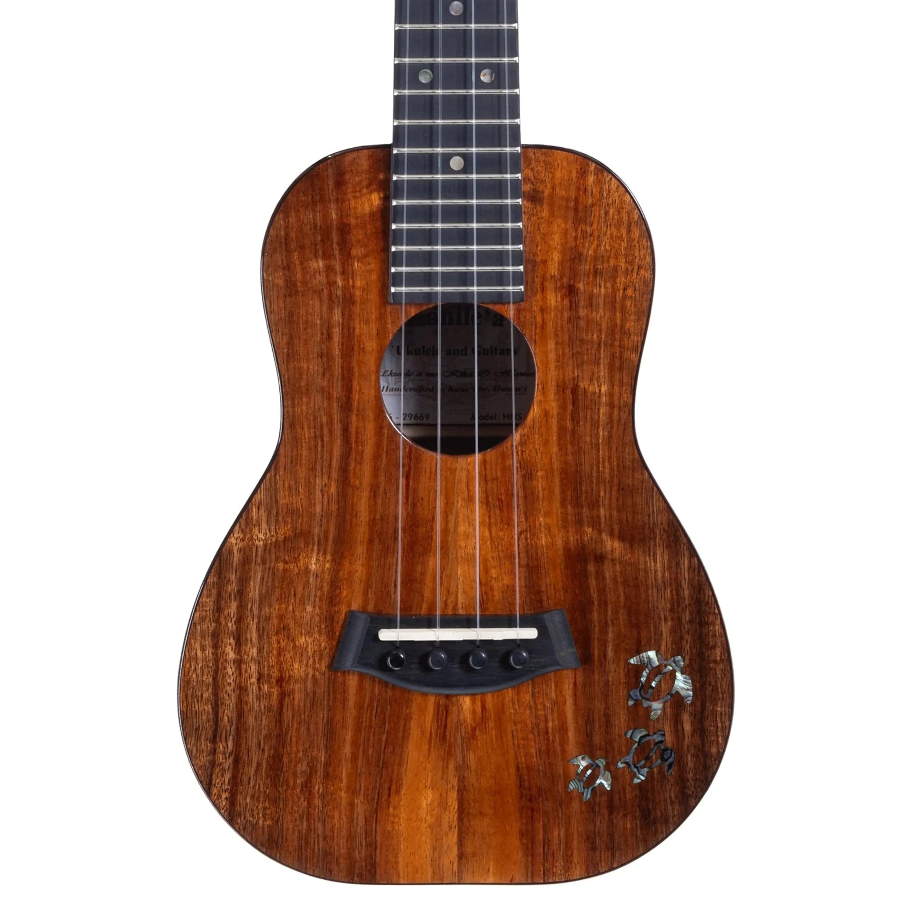 HNS-C-296692 | Terry Carter Music Store