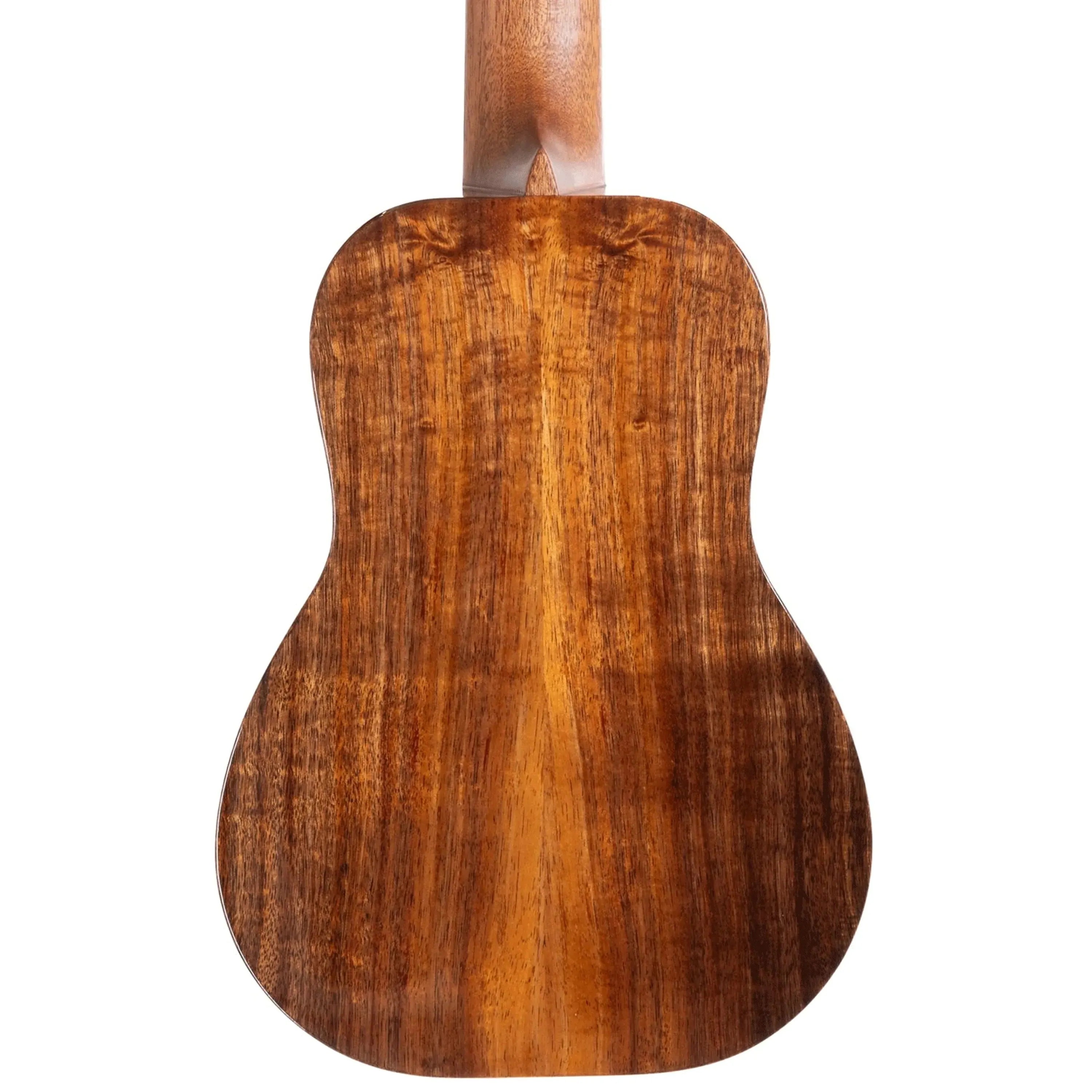 HNS-C-296694 | Terry Carter Music Store