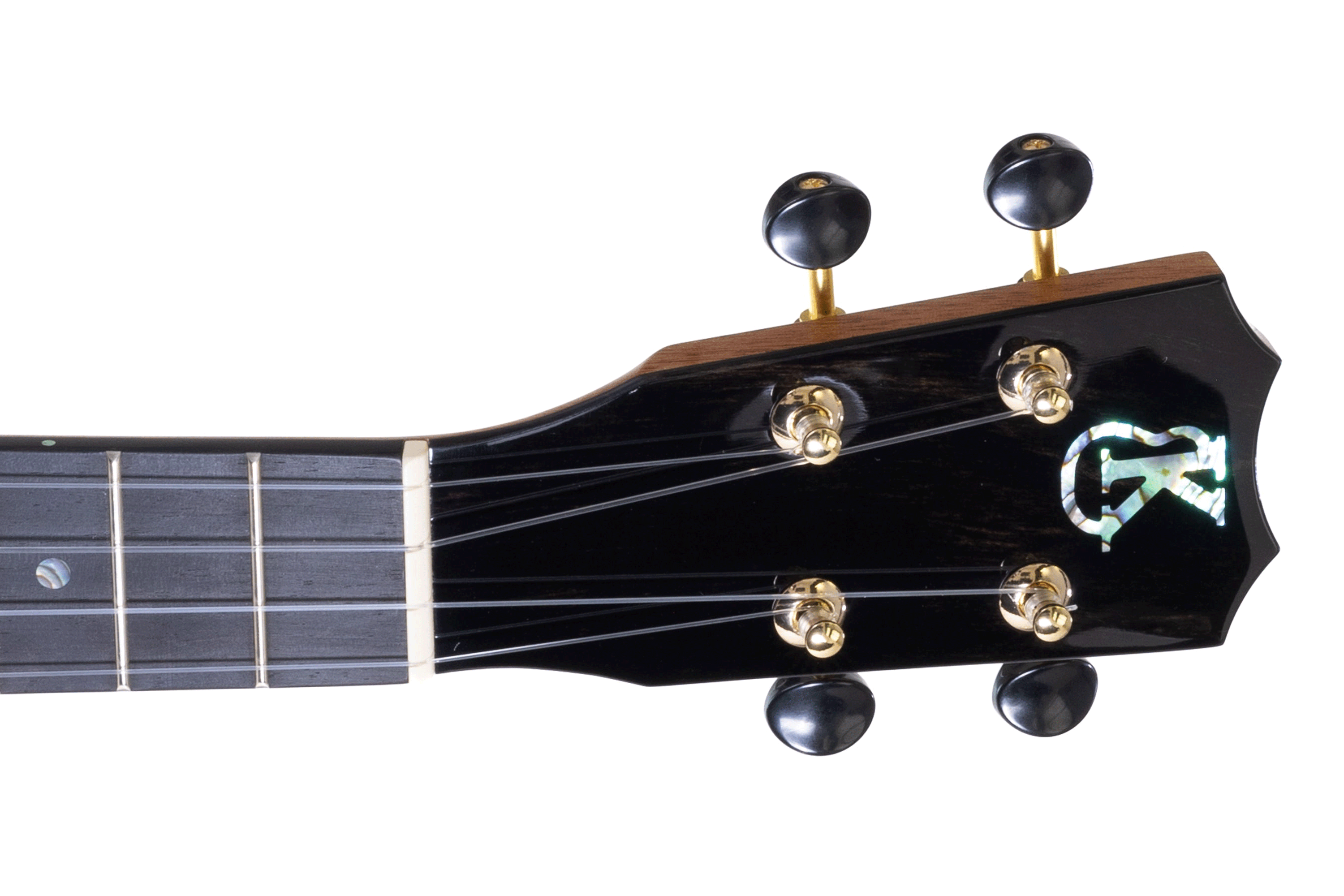 HNS-C-296695 | Terry Carter Music Store