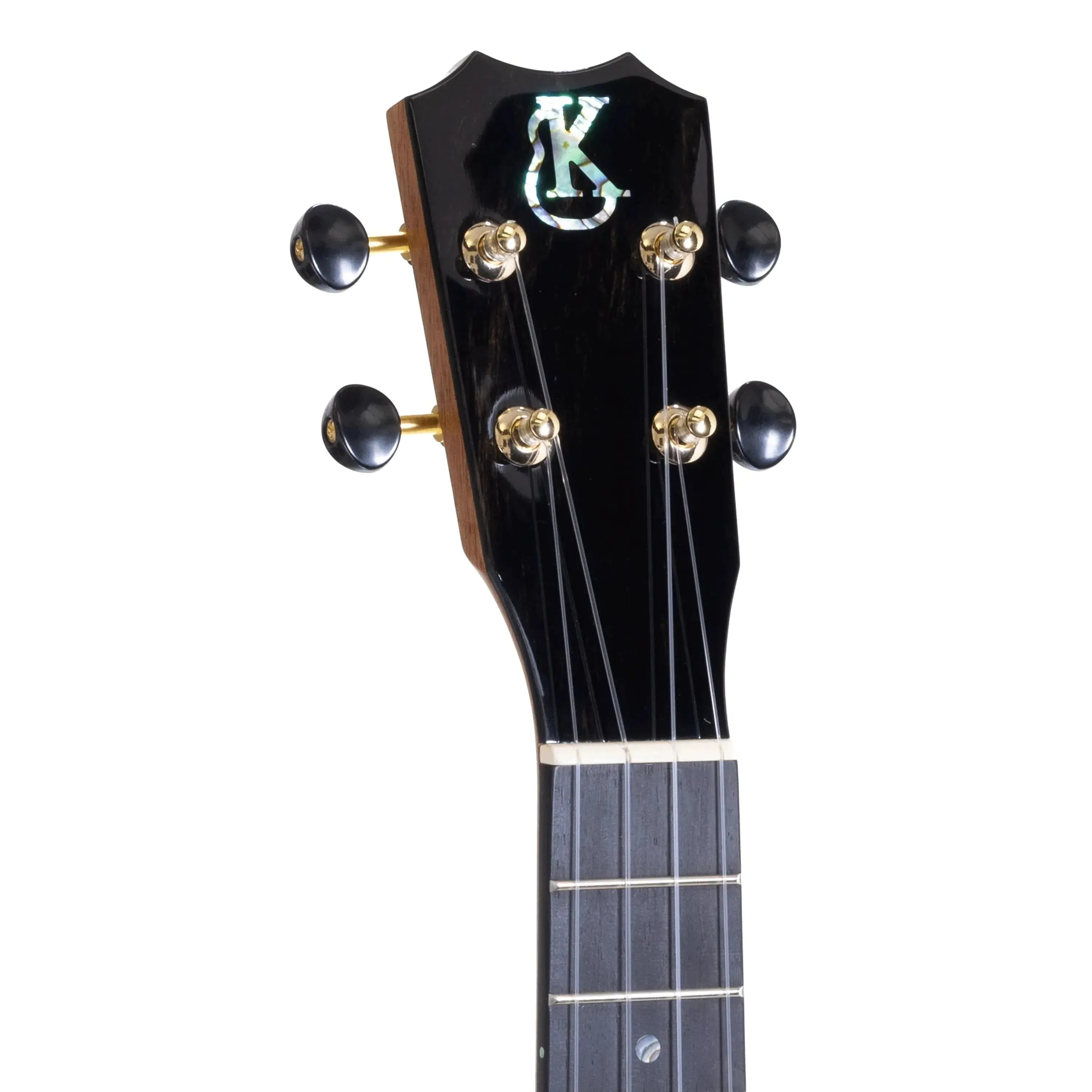 HNS-C-296695 | Terry Carter Music Store