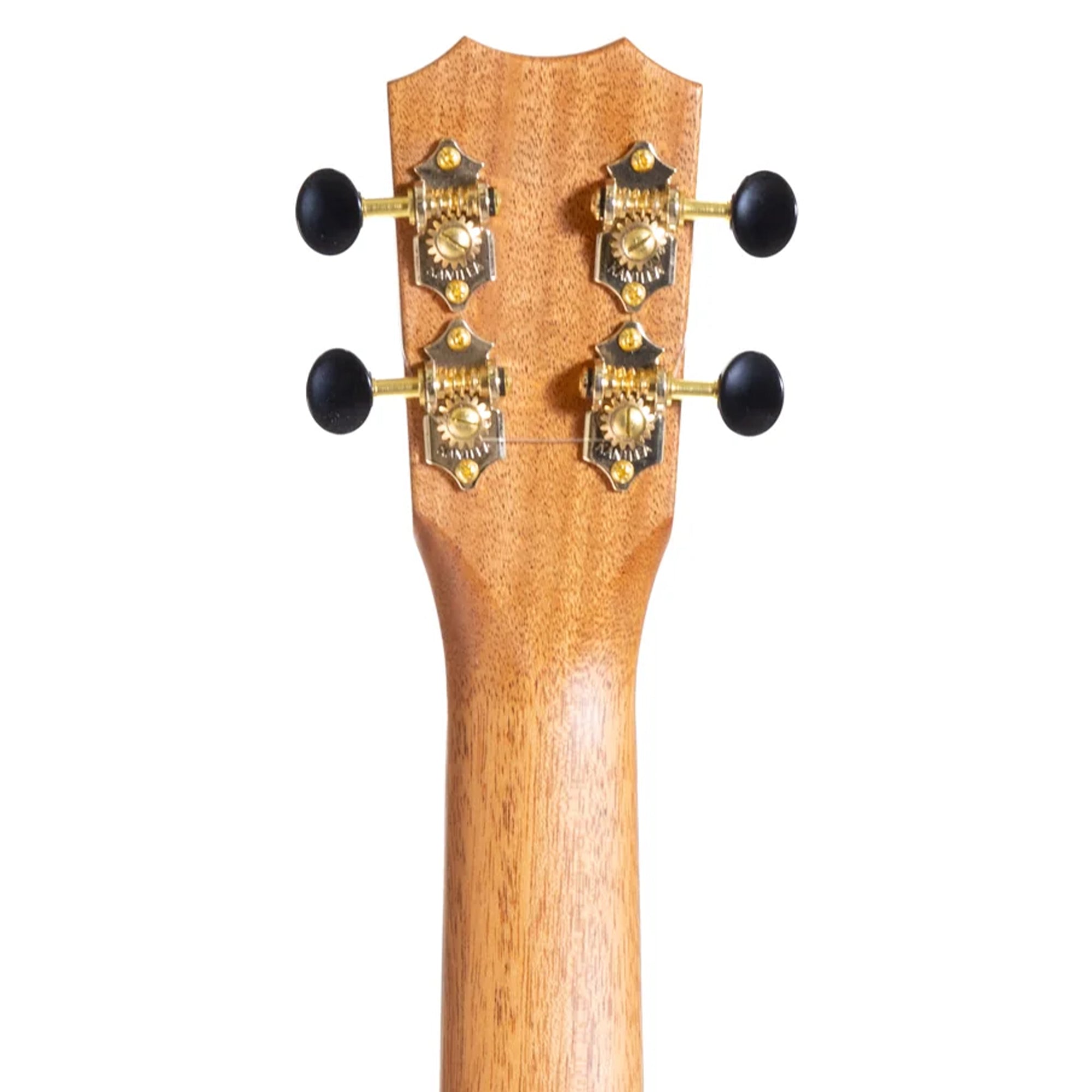 Close-up of a wooden guitar headstock with tuning pegs on a white background