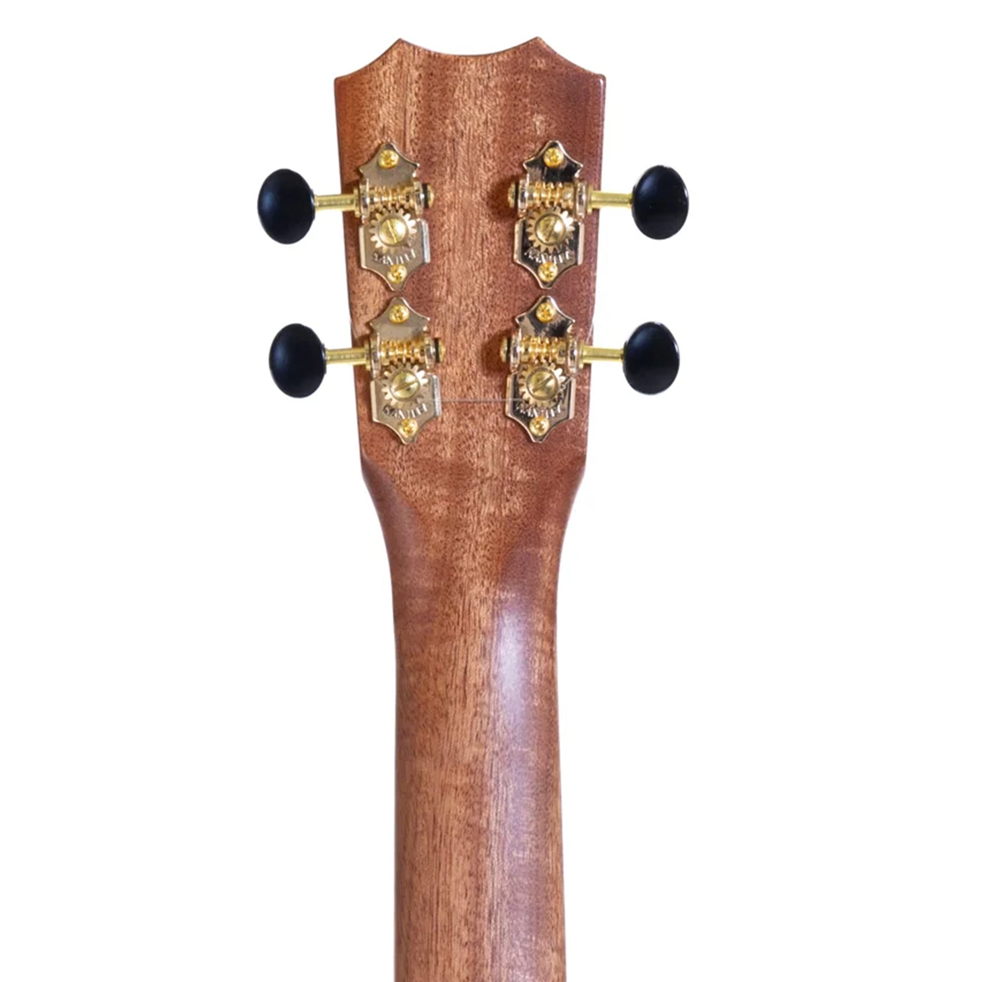 Close-up of a guitar headstock with tuning pegs on a white background