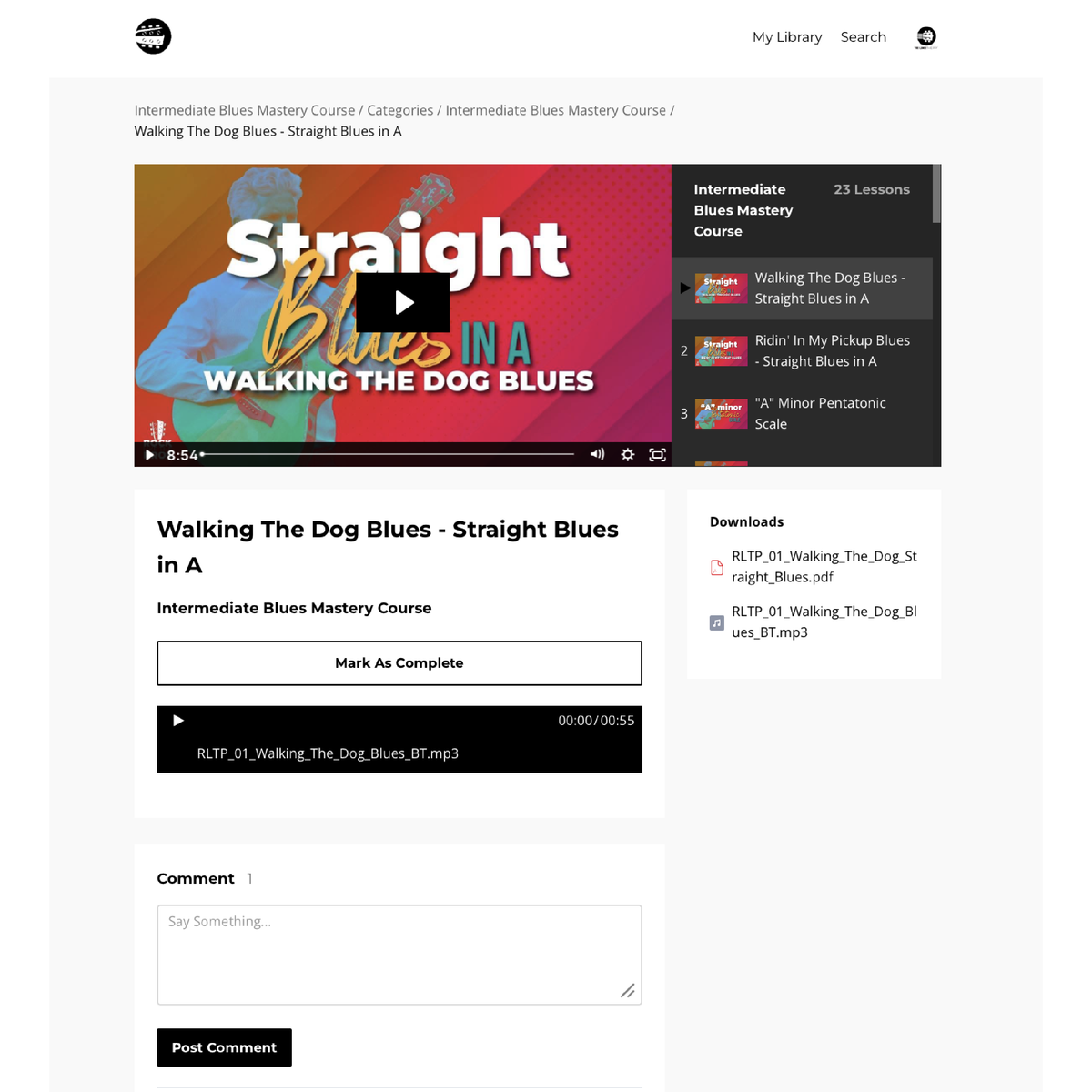 Intermediate Blues Guitar Mastery Course - Rock Like The Pros