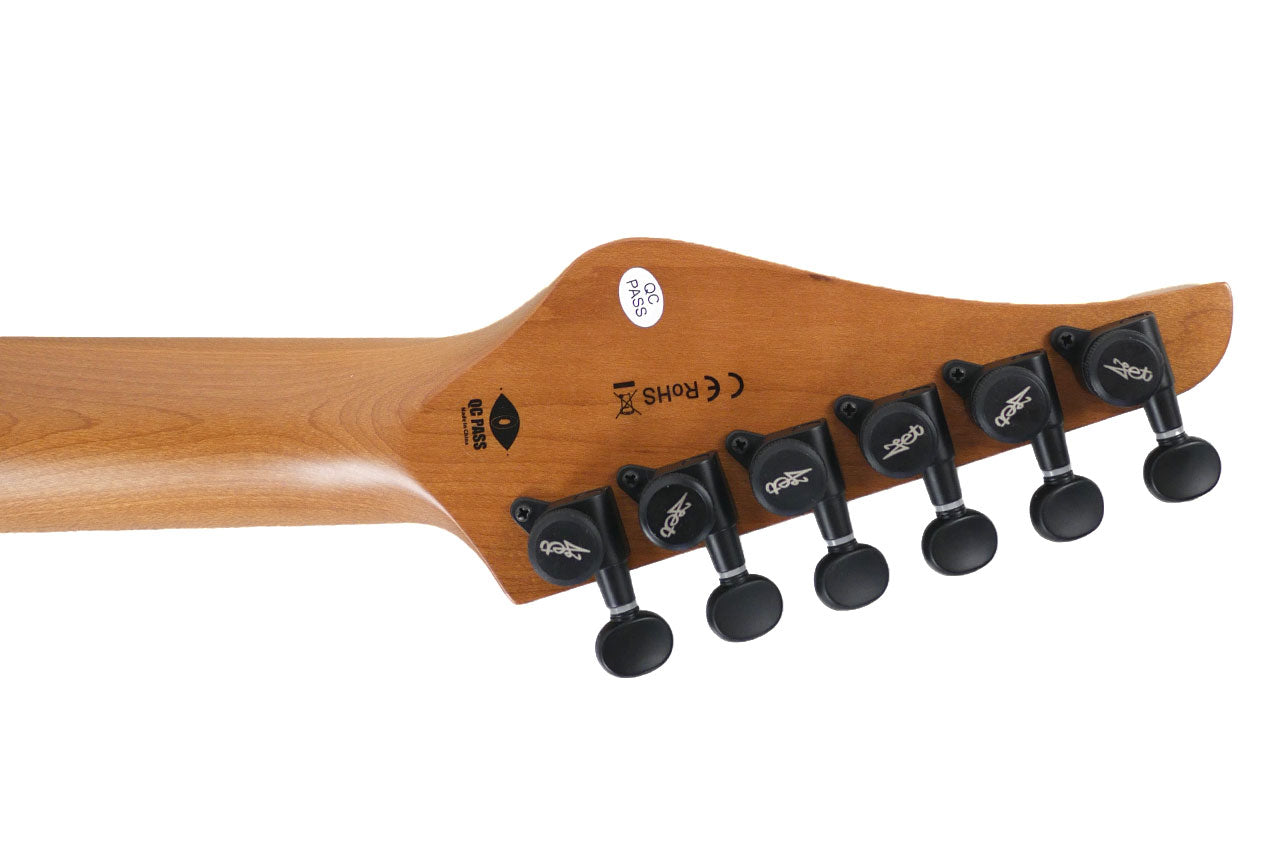 Jet JS-1000 Vulcano Stratocaster Electric Guitar - Terry Carter