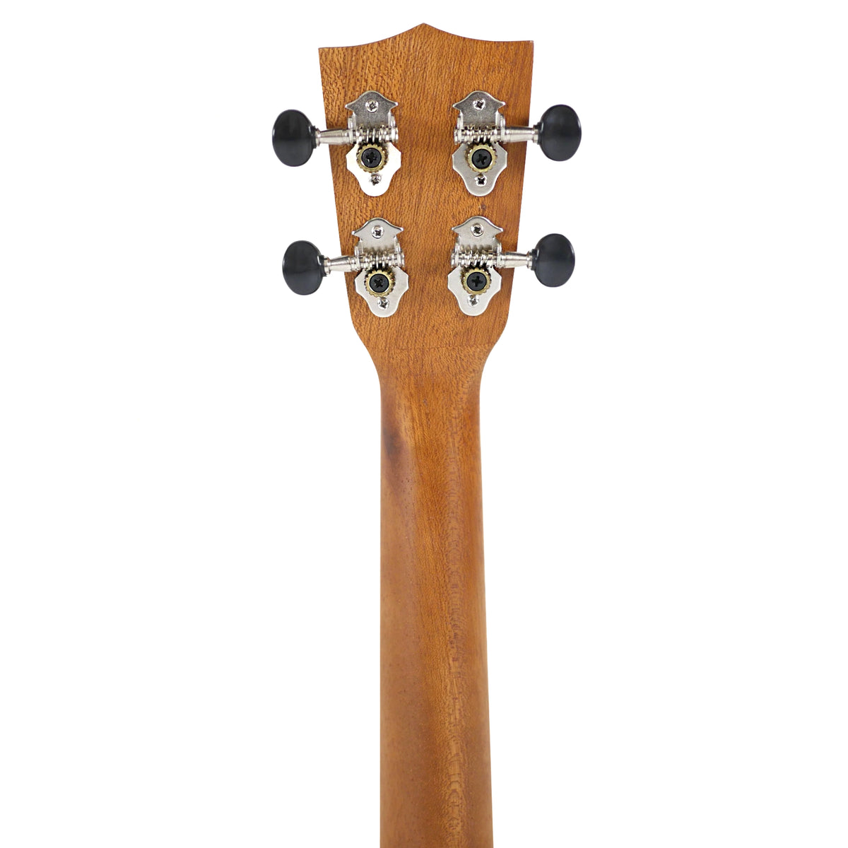 Kala JT-C-CE Concert Ukulele - Limited Bundle w/ Online Courses & Accessories