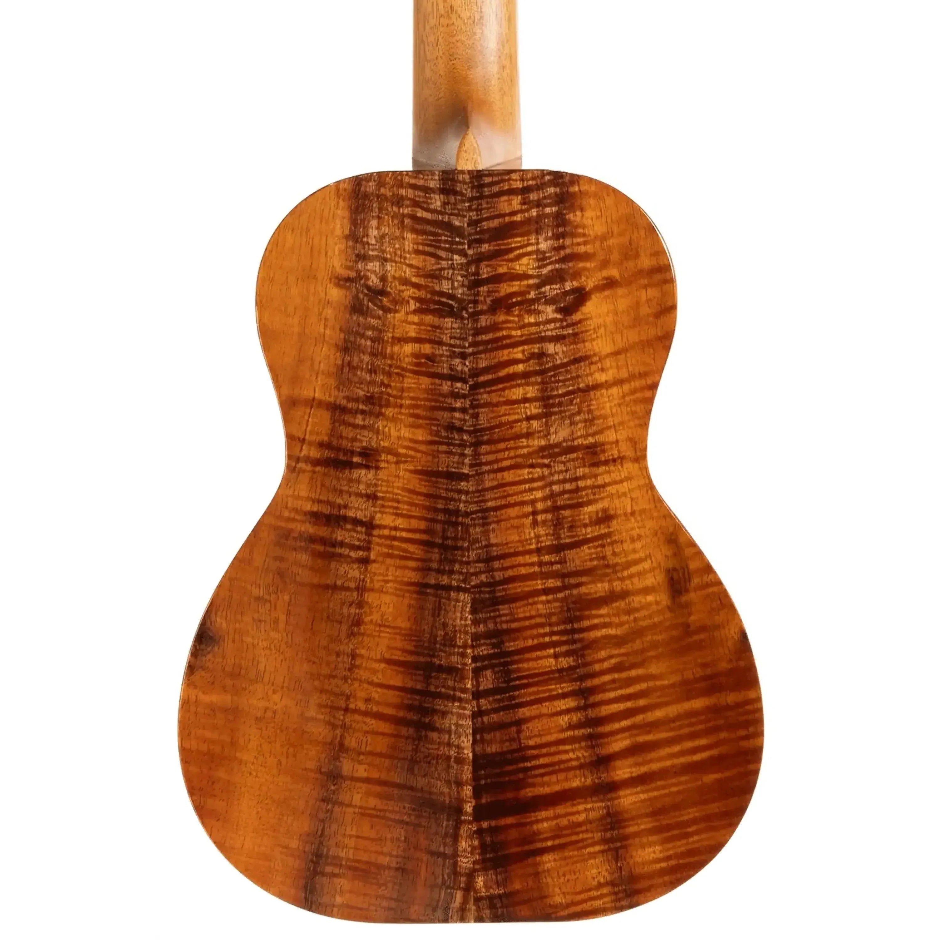 K-1-Pro-T6-296744 | Terry Carter Music Store