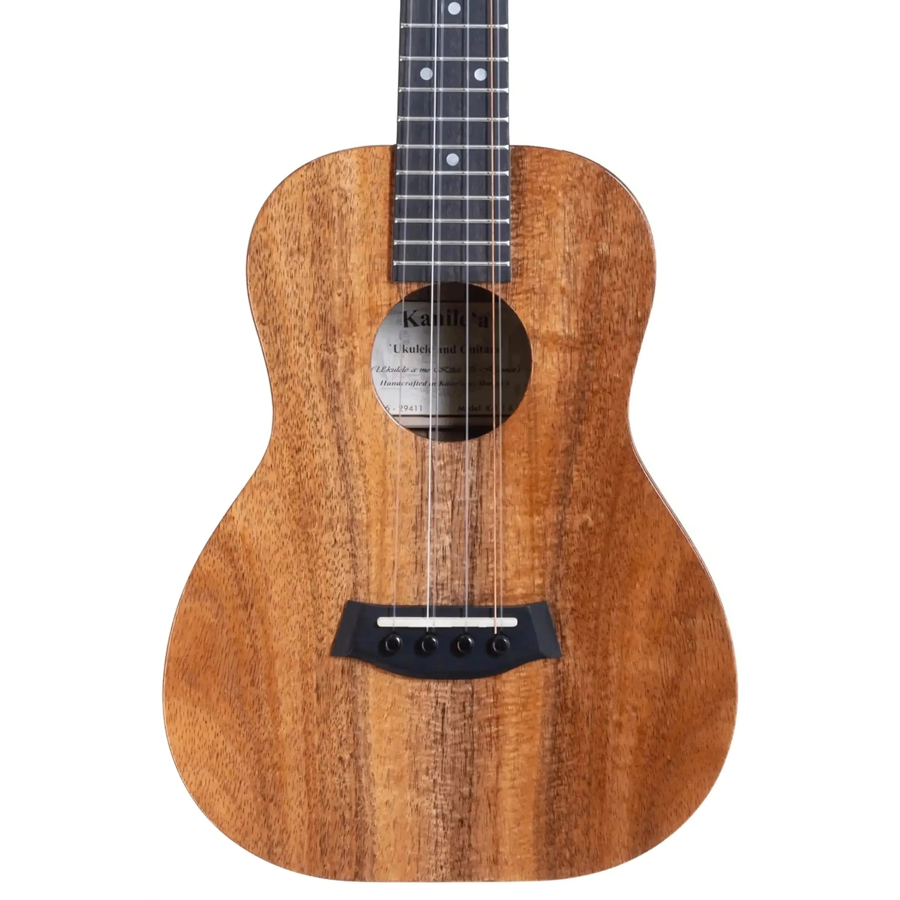 K-1-T6-294111 | Terry Carter Music Store