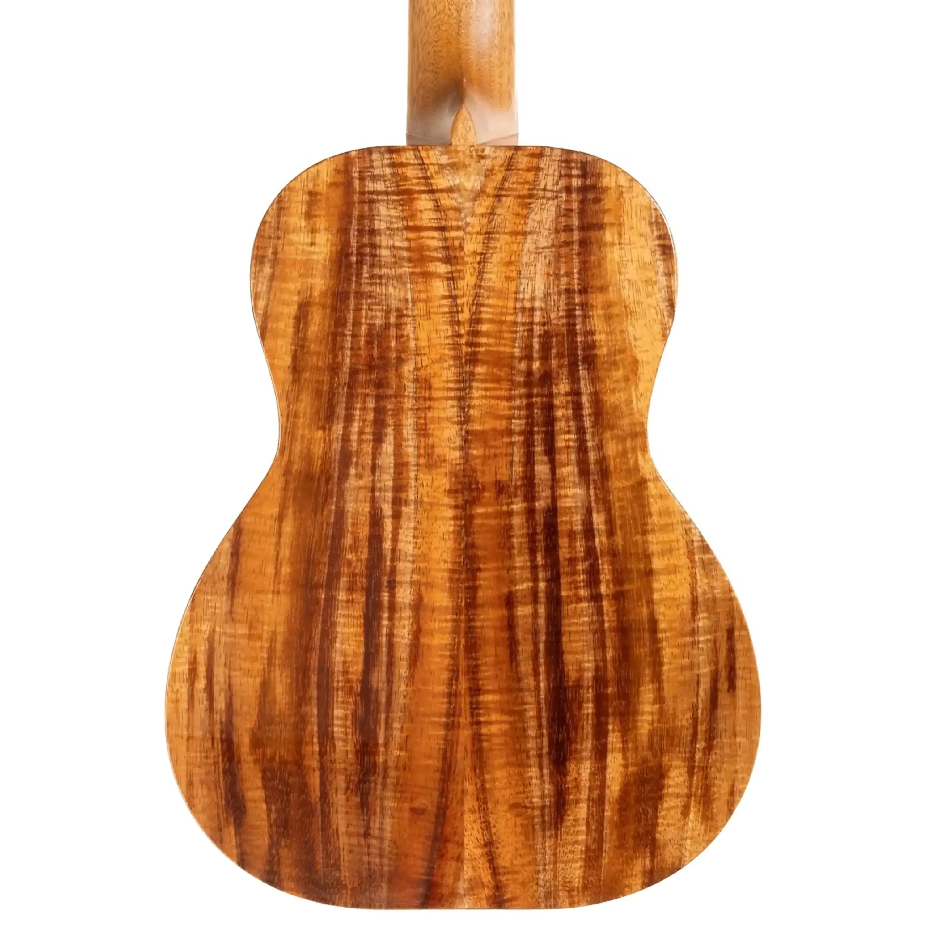 K-1-T8-296754 | Terry Carter Music Store