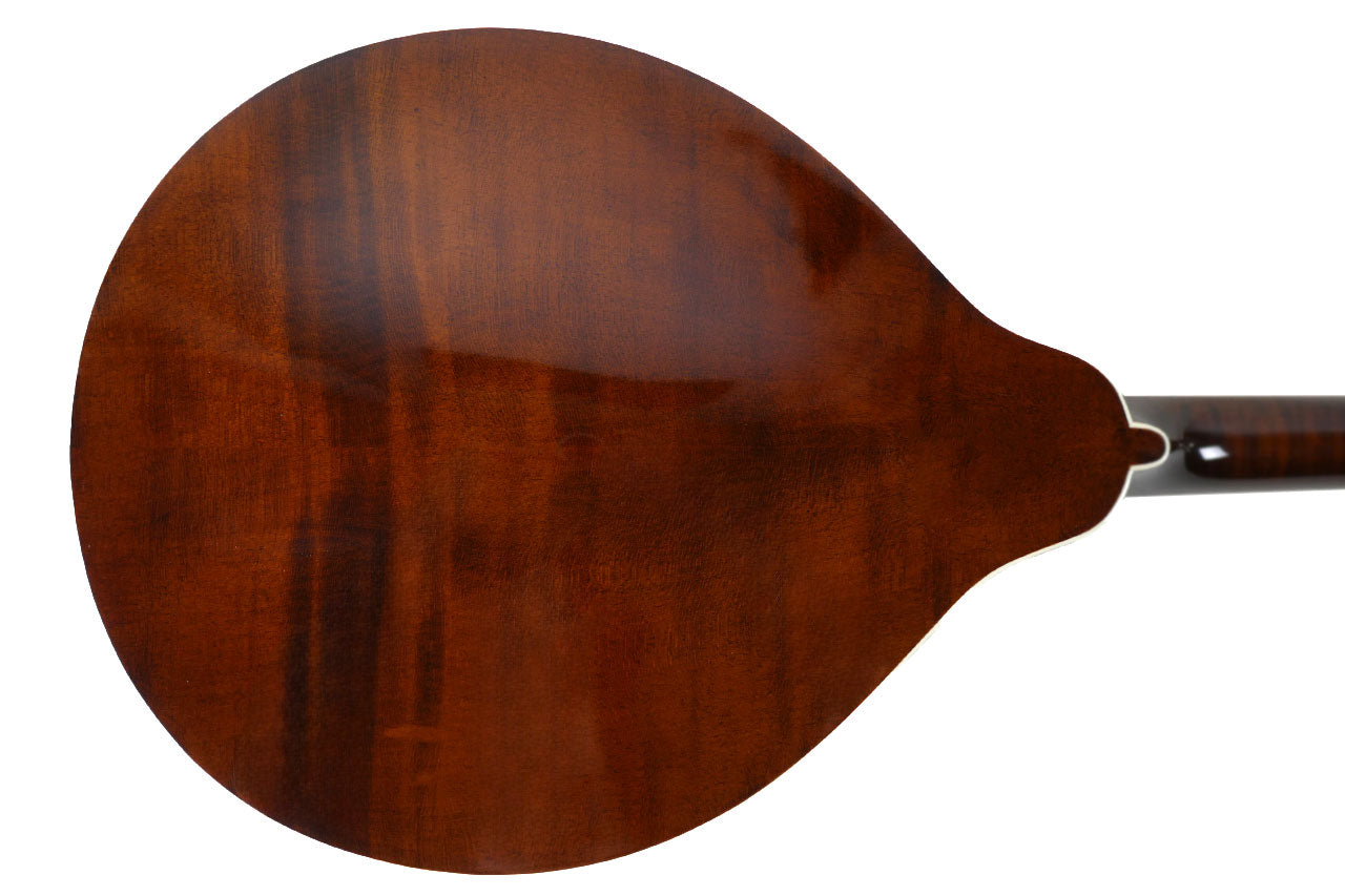 Kentucky KM-276 Deluxe A-Model Mandolin - Terry Carter Music Store