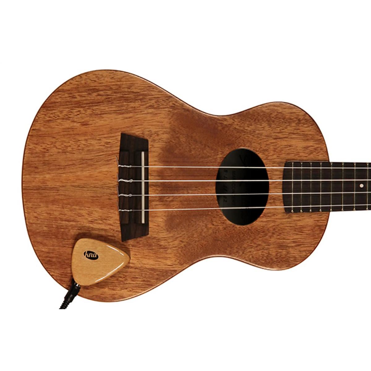 KNA-AP-1-Guitar-Pickup-2 | Terry Carter Music Store