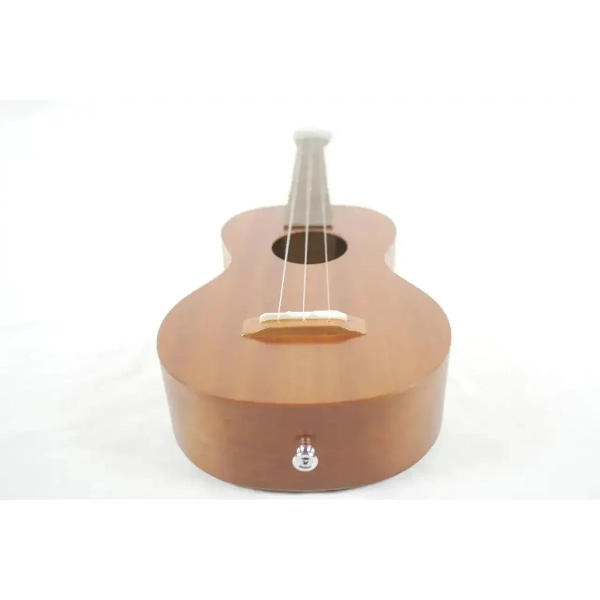 KRC-EVS-M-7 | Terry Carter Music Store