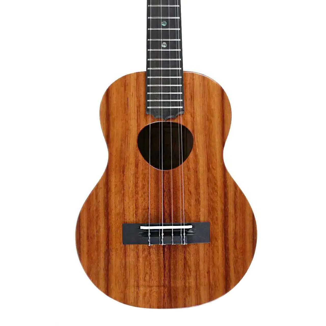 KTM_16_1_365e32ae-7a52-484d-aa17-65f926bb42d4 | Terry Carter Music Store