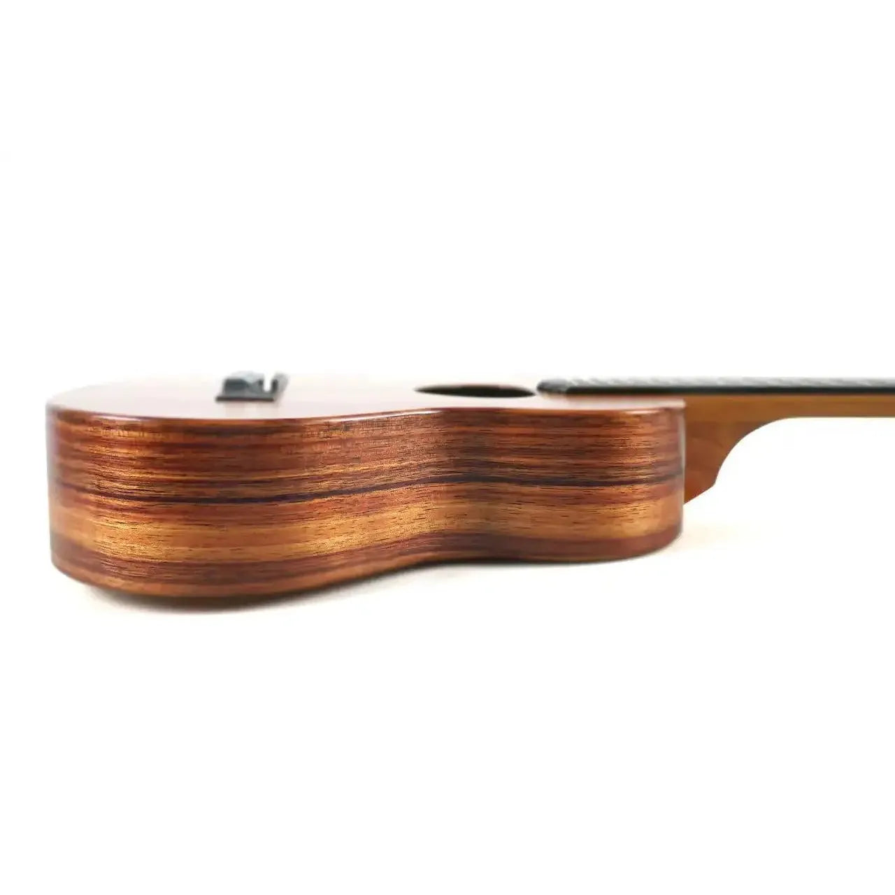 KTM_16_5_3ea94373-fc97-4823-8919-2596e924ec7f | Terry Carter Music Store