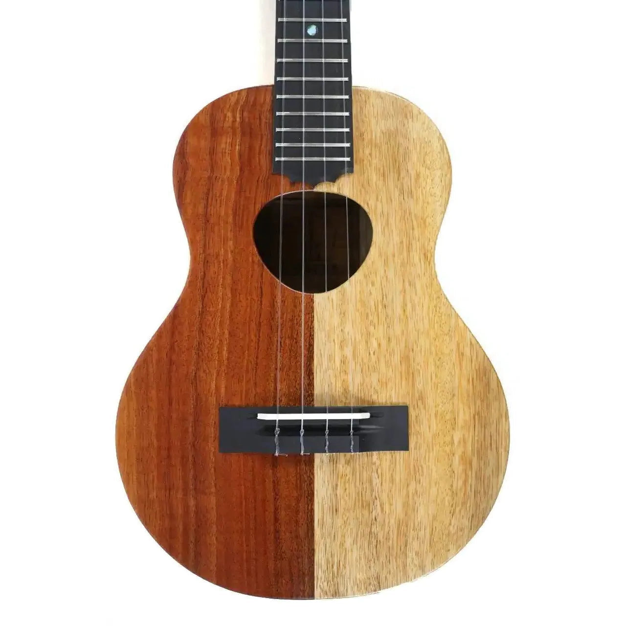KTNP-10-_3-1 | Terry Carter Music Store