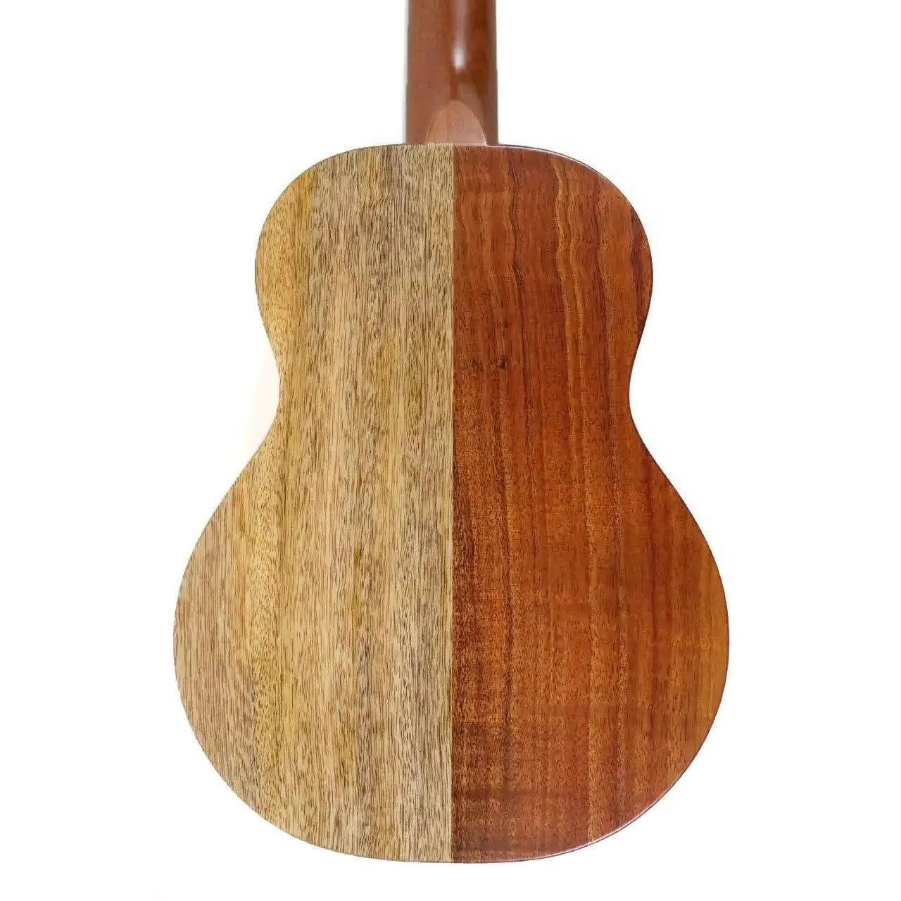 KTNP-10-_3-3 | Terry Carter Music Store