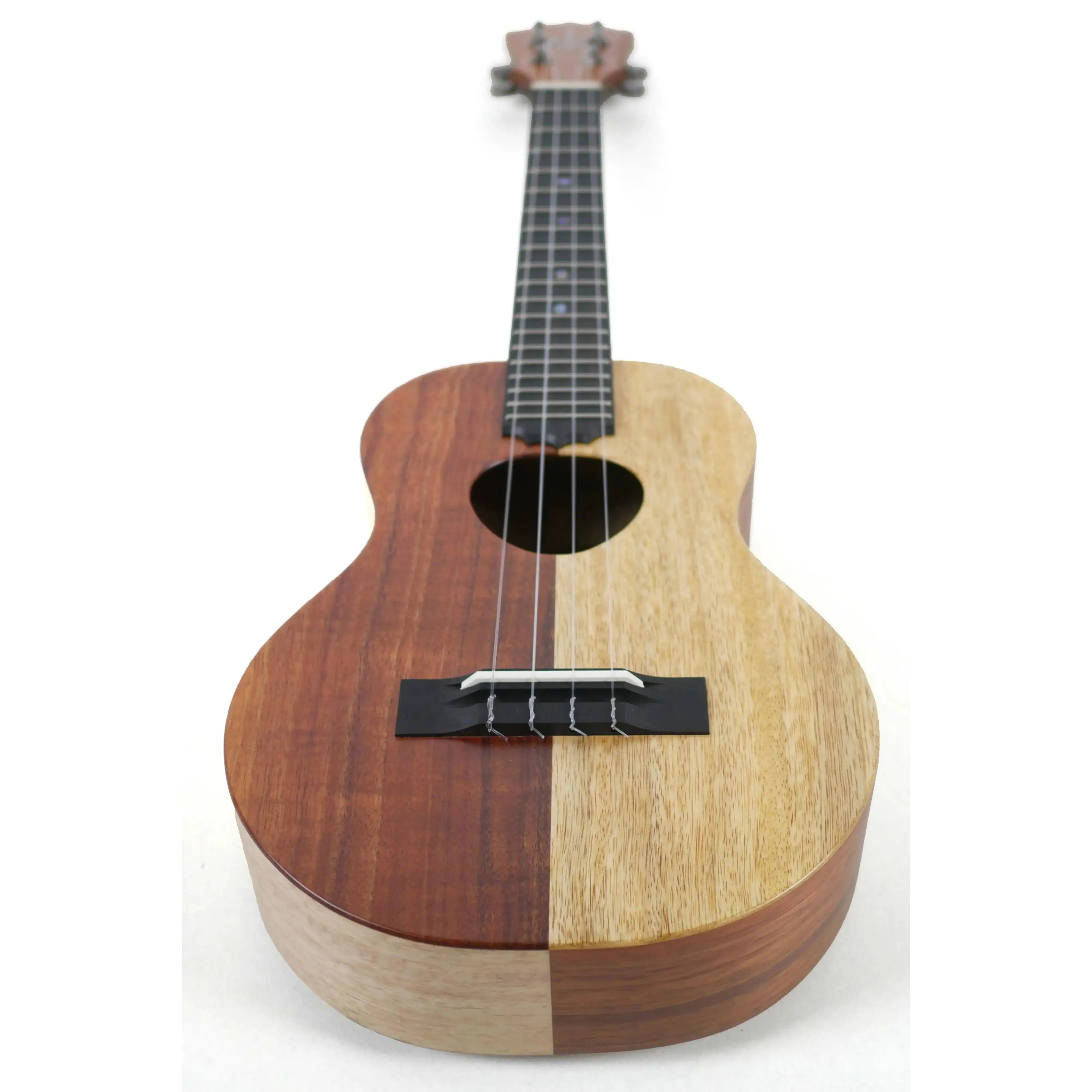KTNP-10-_3-5 | Terry Carter Music Store