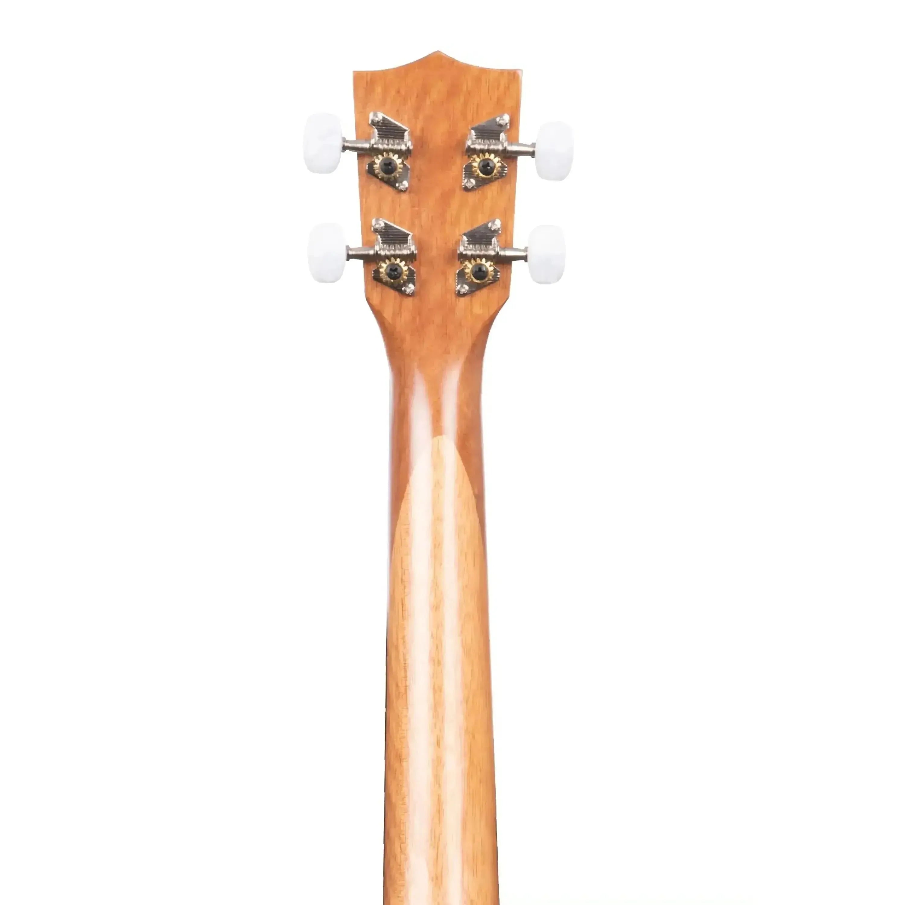 Kala-15T-Tenor-Ukulele3 | Terry Carter Music Store