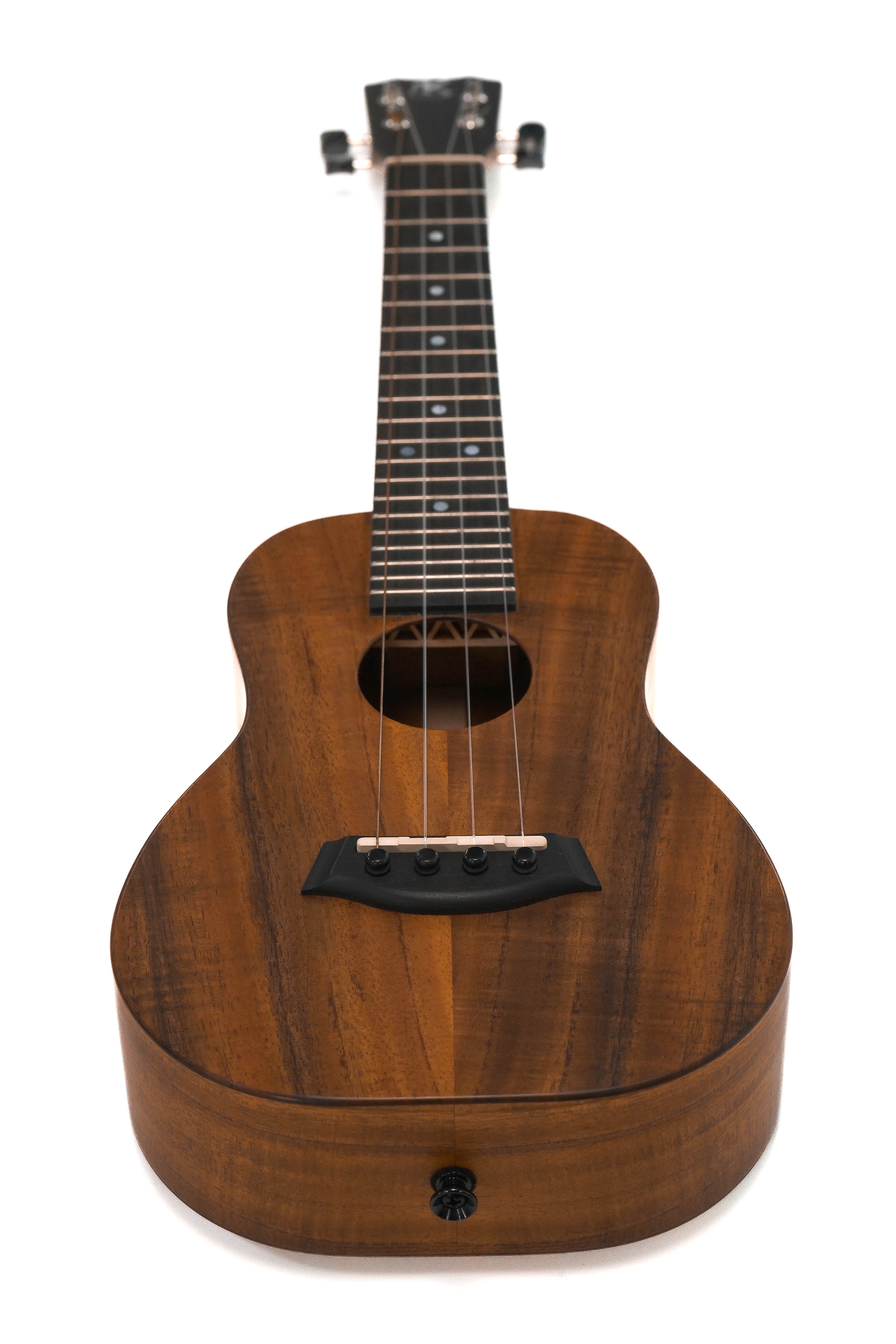 Kanile'a K-1 C Deluxe Concert Ukulele - Terry Carter Music Store