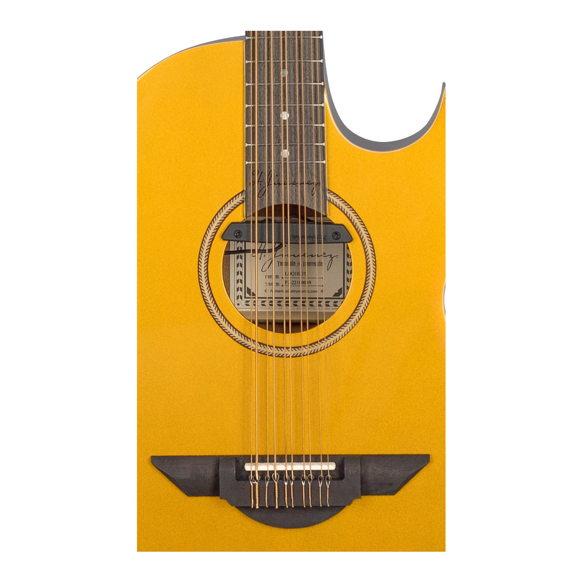 H. Jimenez LBQ1EGT Palomazo Gold Sparkle Top Cutaway Acoustic Electric Bajo Quinto, close-up of the soundhole, rosette and bridge