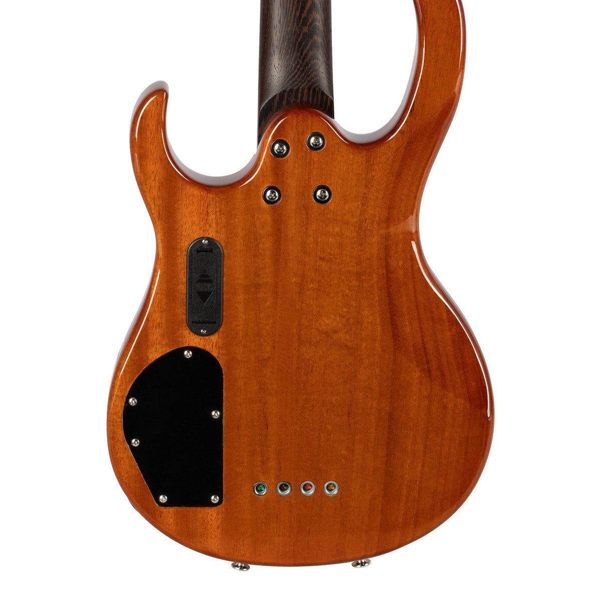 H. Jimenez LBS4-GT Camaleón 4-String Electric Bass Guitar - Gold Top, back of the body showing the back and sides
