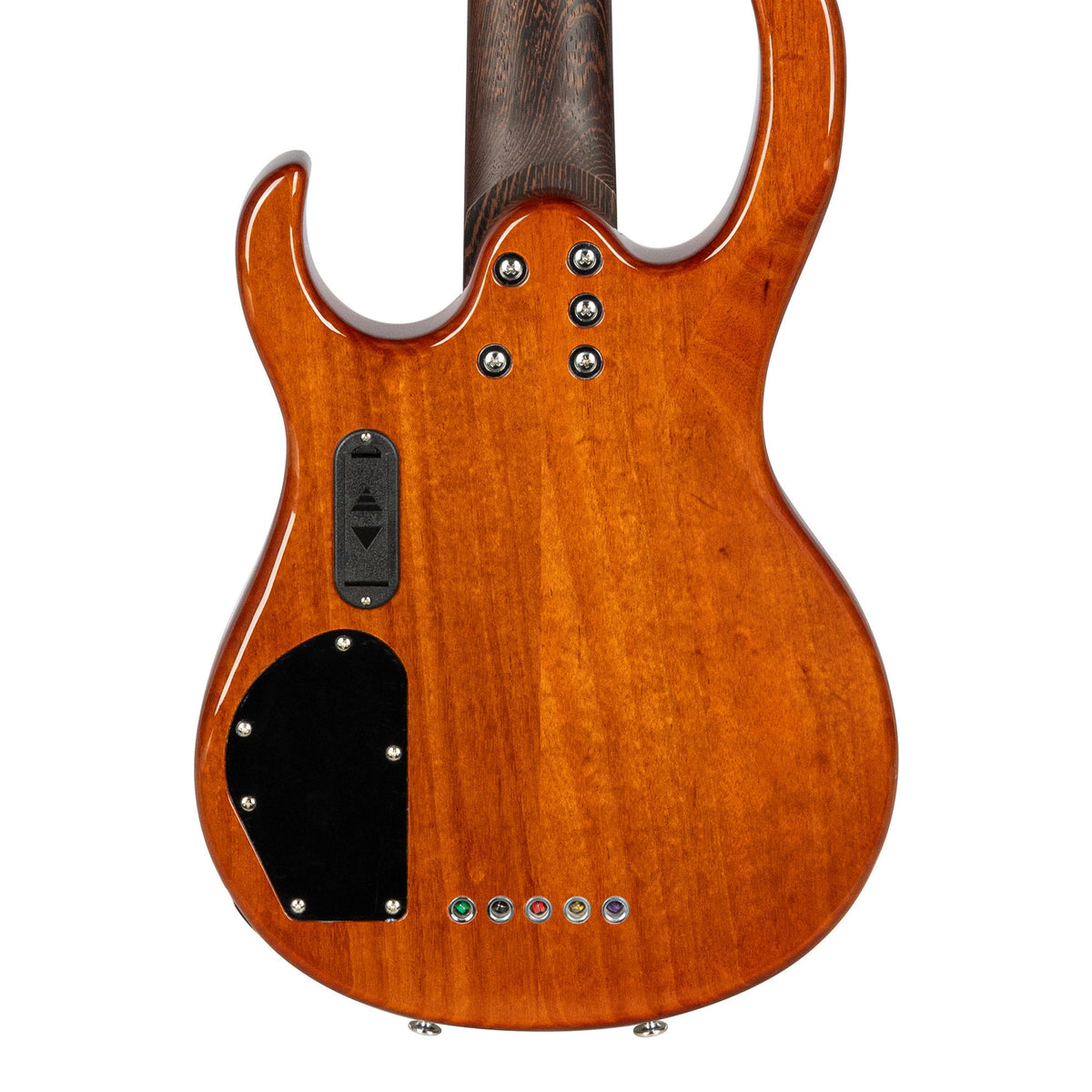 H. Jimenez LBS5-GT Camaleón 5-String Electric Bass Guitar - Gold Top, back of the body showing the back and sides