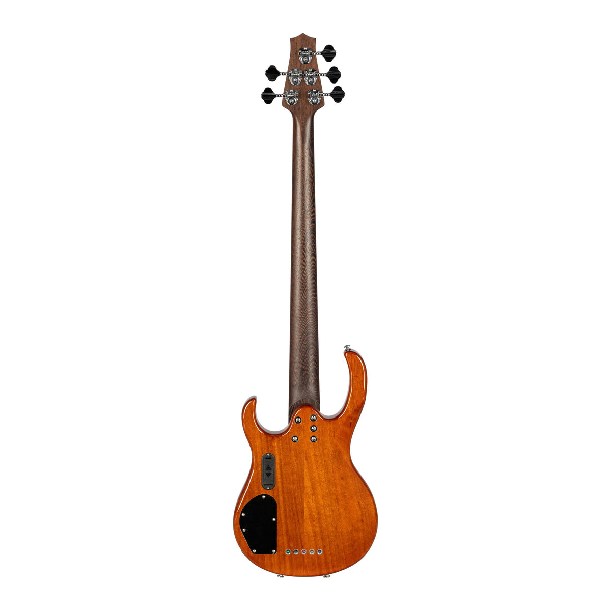 H. Jimenez LBS5-GT Camaleón 5-String Electric Bass Guitar - Gold Top, full back view from headstock to end