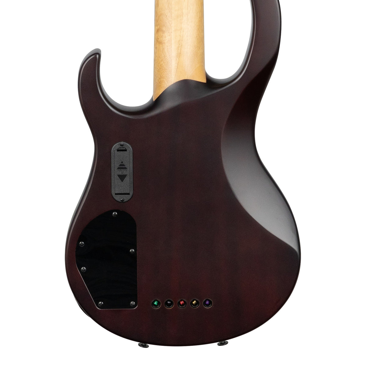 H. Jimenez LBS5-SB Camaleón 5-String Electric Bass Guitar - Spalt Burst, back of the body showing the back and sides