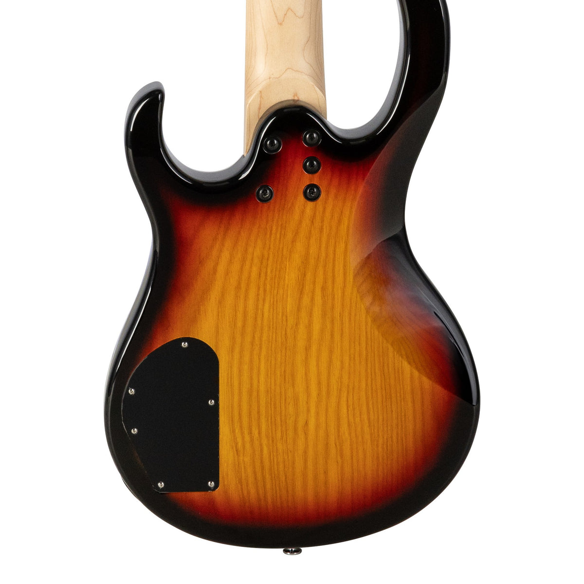 H. Jimenez LBS5-VB Camaleón 5-String Electric Bass Guitar - Vintage Burst, back of the body showing the back and sides