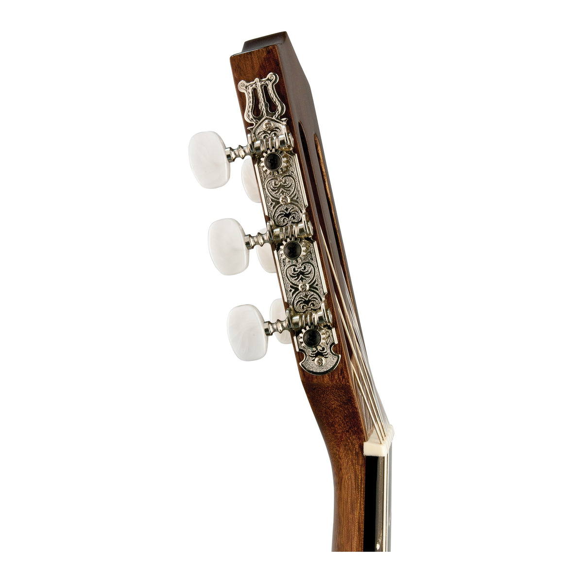 H. Jimenez LG1 Voz Fuerte Full Size Nylon String Guitar, headstock side view of the tuners