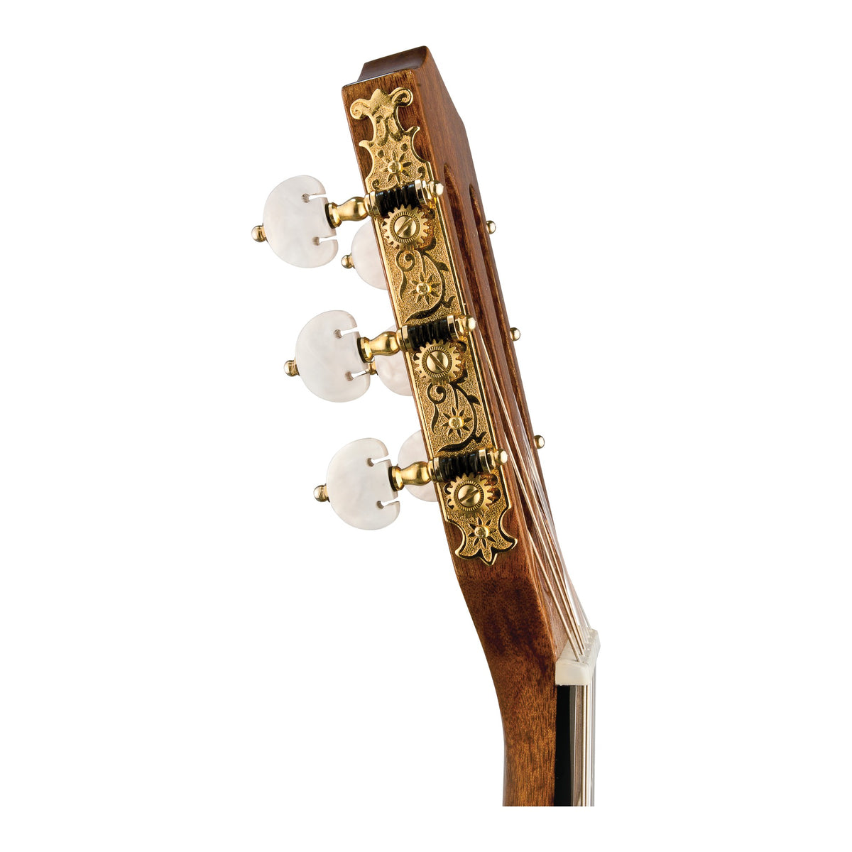 H. Jimenez LG3E El Maestro Nylon String Acoustic Electric Guitar, headstock side view of the tuners