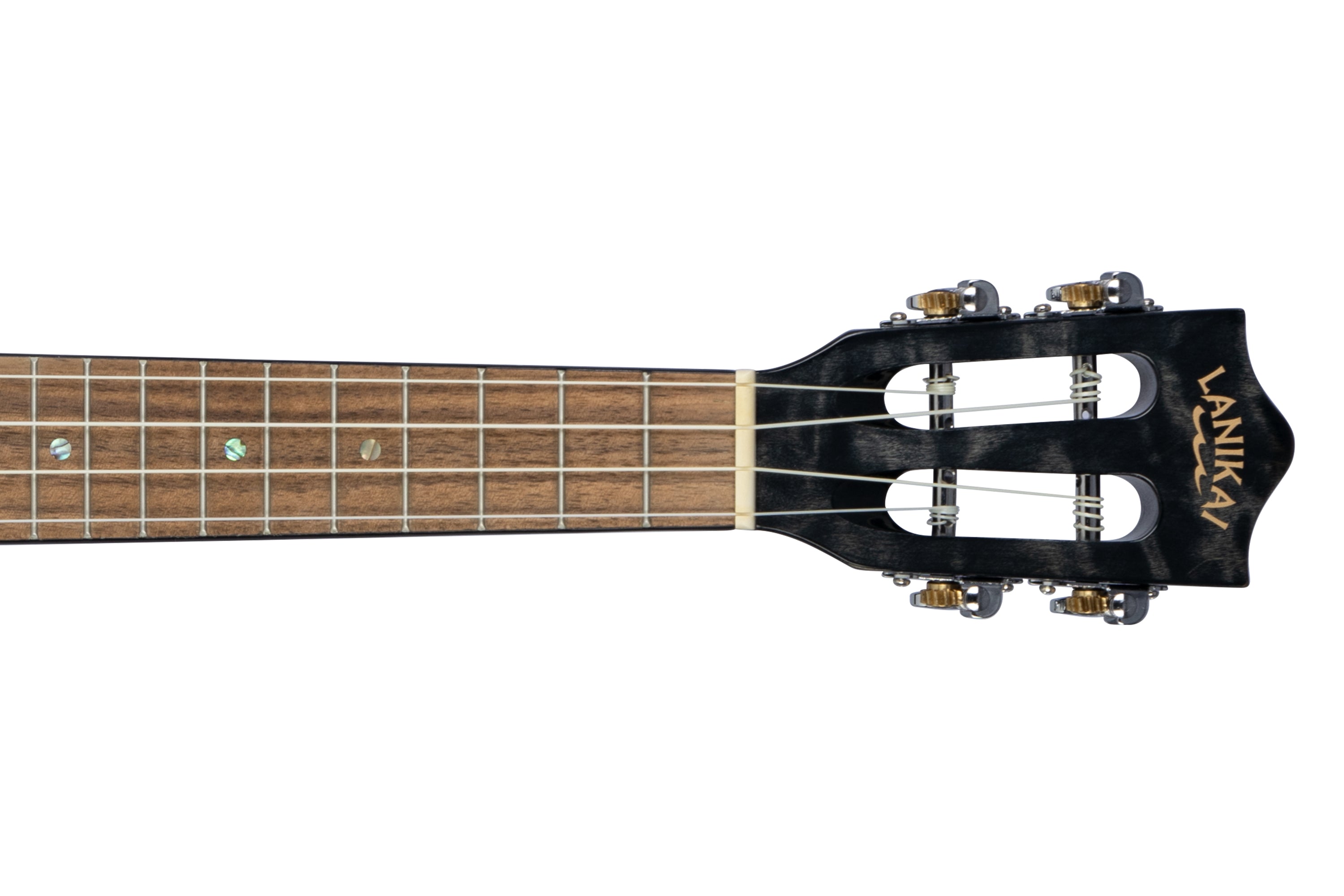 Lanikai Black Maple Concert Ukulele - Terry Carter Music Store