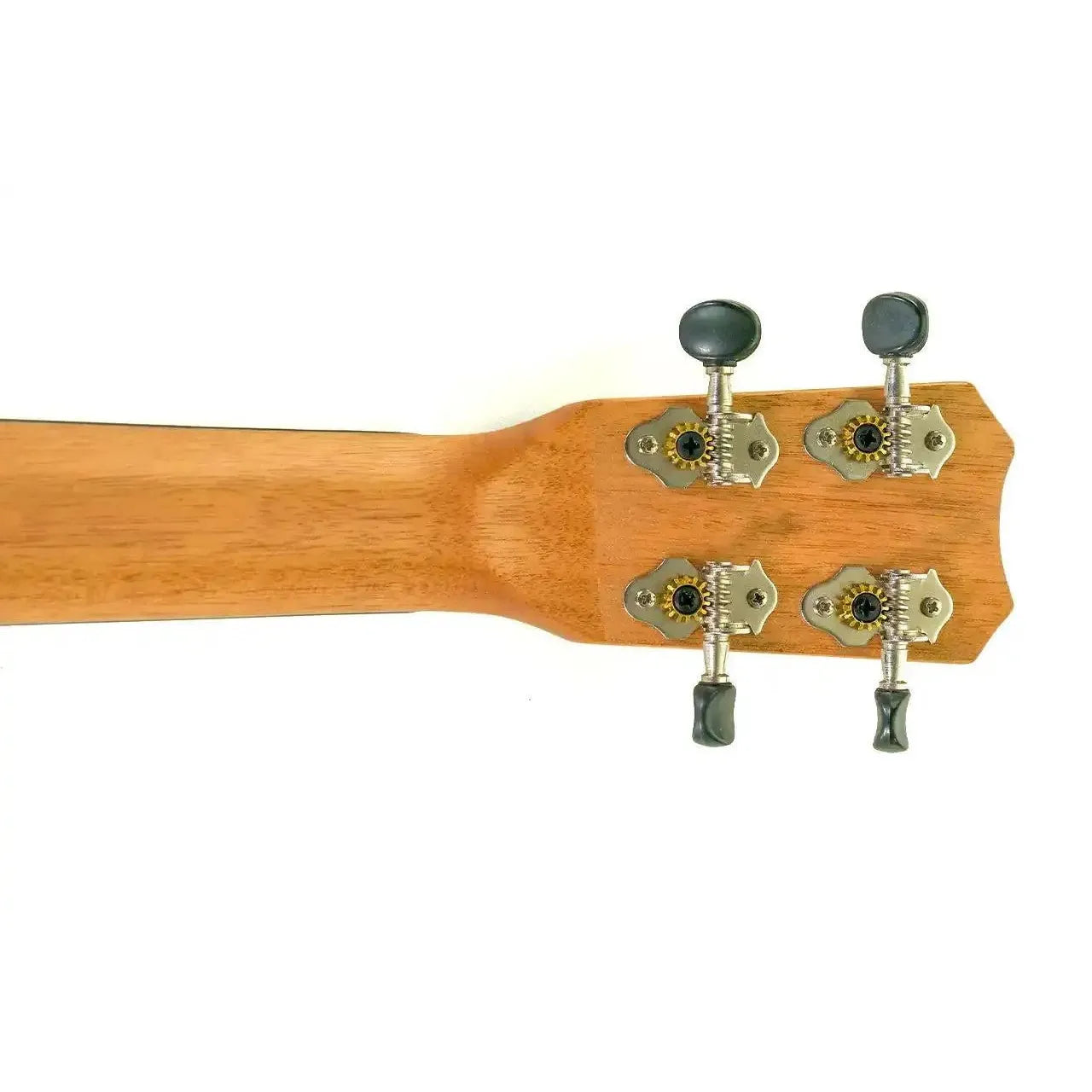 MAC-4-6 | Terry Carter Music Store