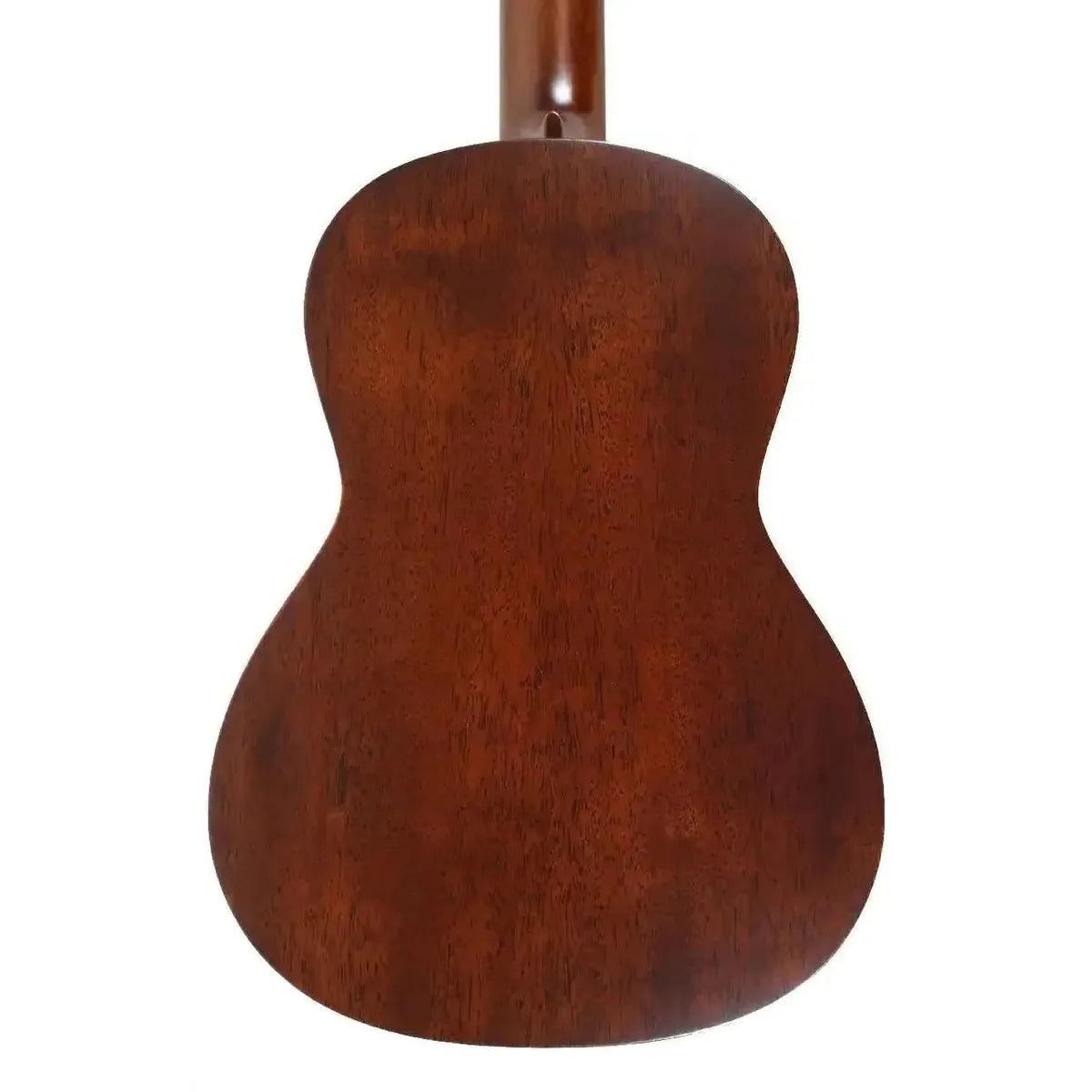 MARTIN_1T_IZ_2_3 | Terry Carter Music Store
