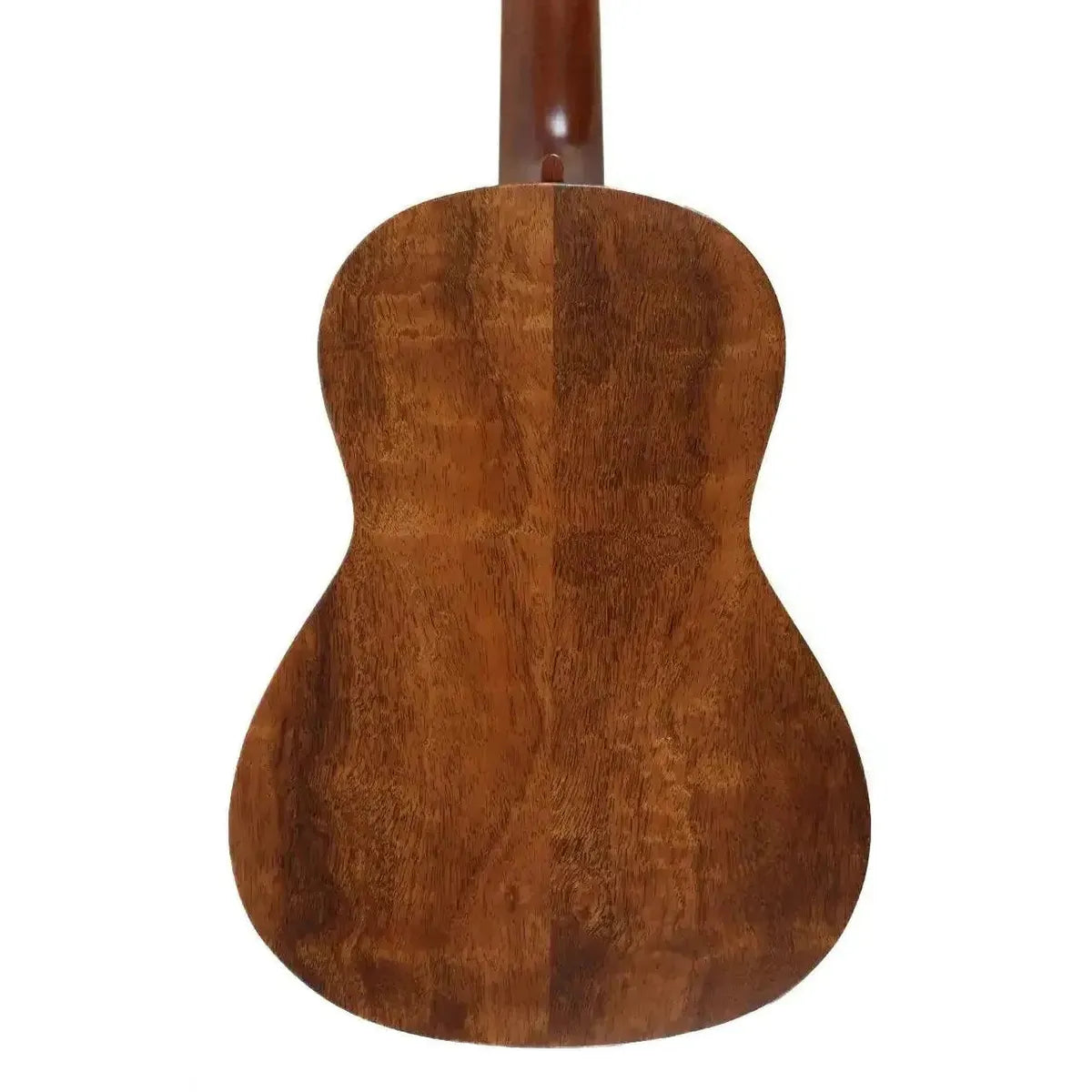 MARTIN_1T_IZ_3_2_ba04a96a-ba5a-419f-8b85-91695c373463 | Terry Carter Music Store