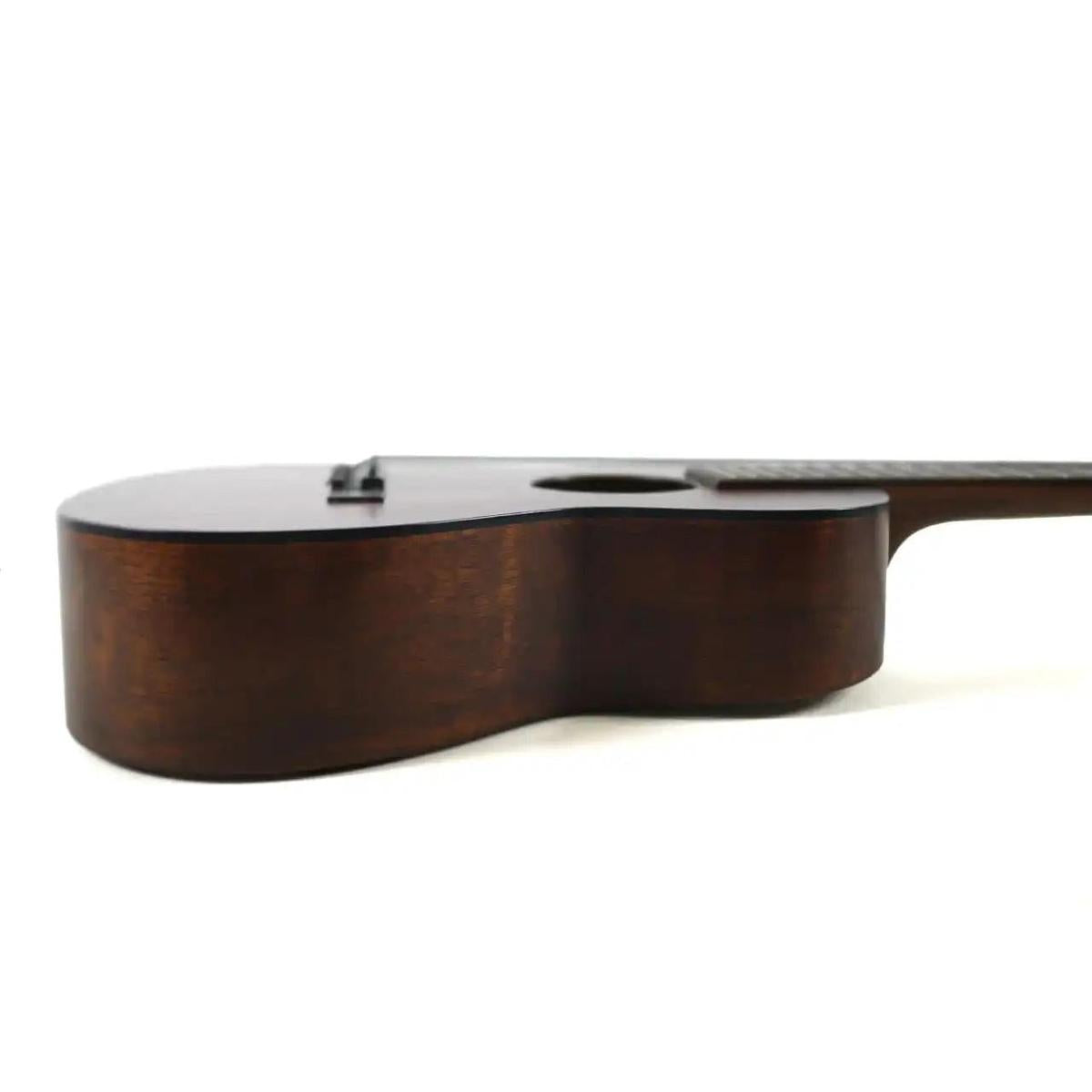 MARTIN_1T_IZ_4_6 | Terry Carter Music Store