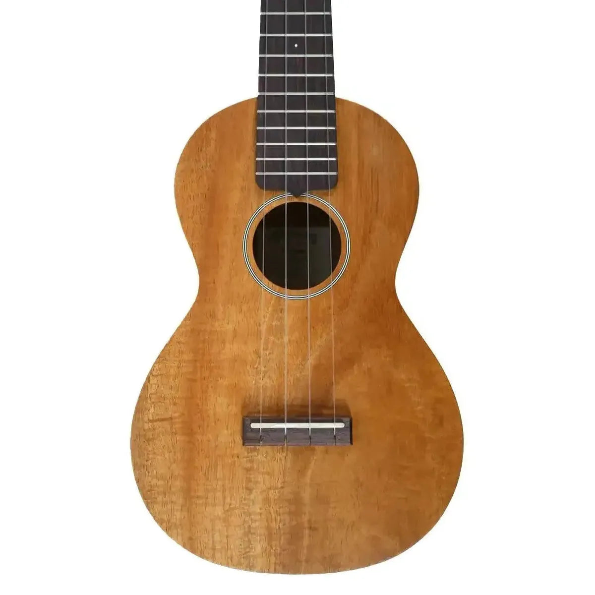 MARTIN_C1KUKE_1 | Terry Carter Music Store