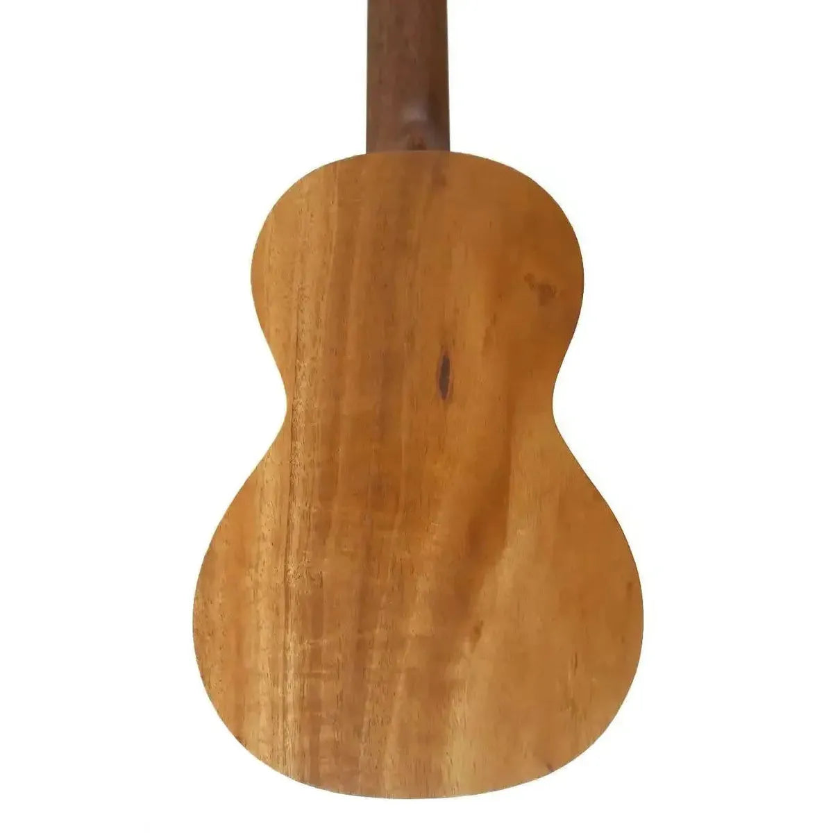 MARTIN_C1KUKE_3 | Terry Carter Music Store