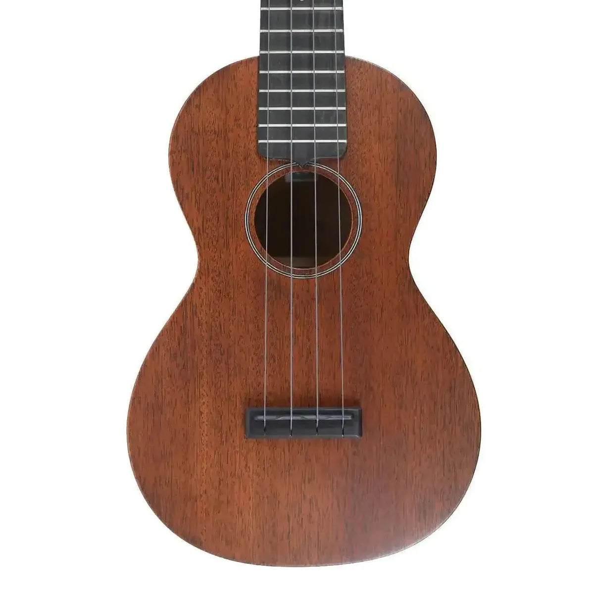 MARTIN_FSC_1 | Terry Carter Music Store